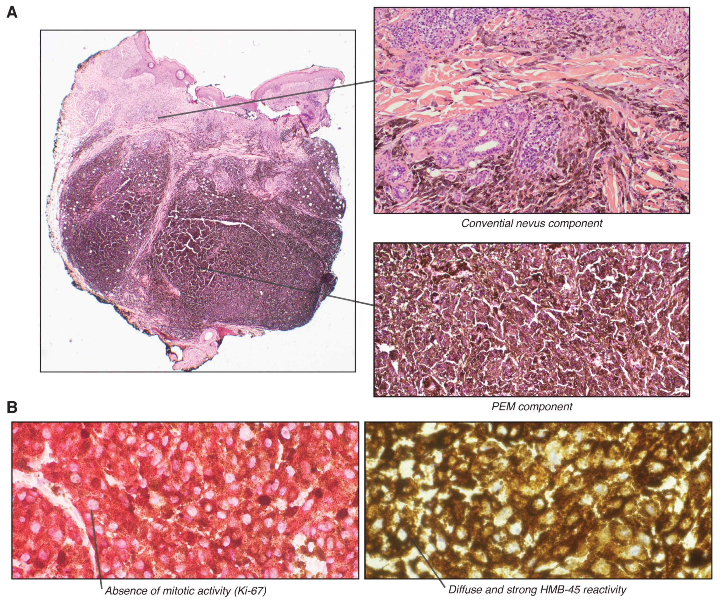 Biology 10 01290 g002