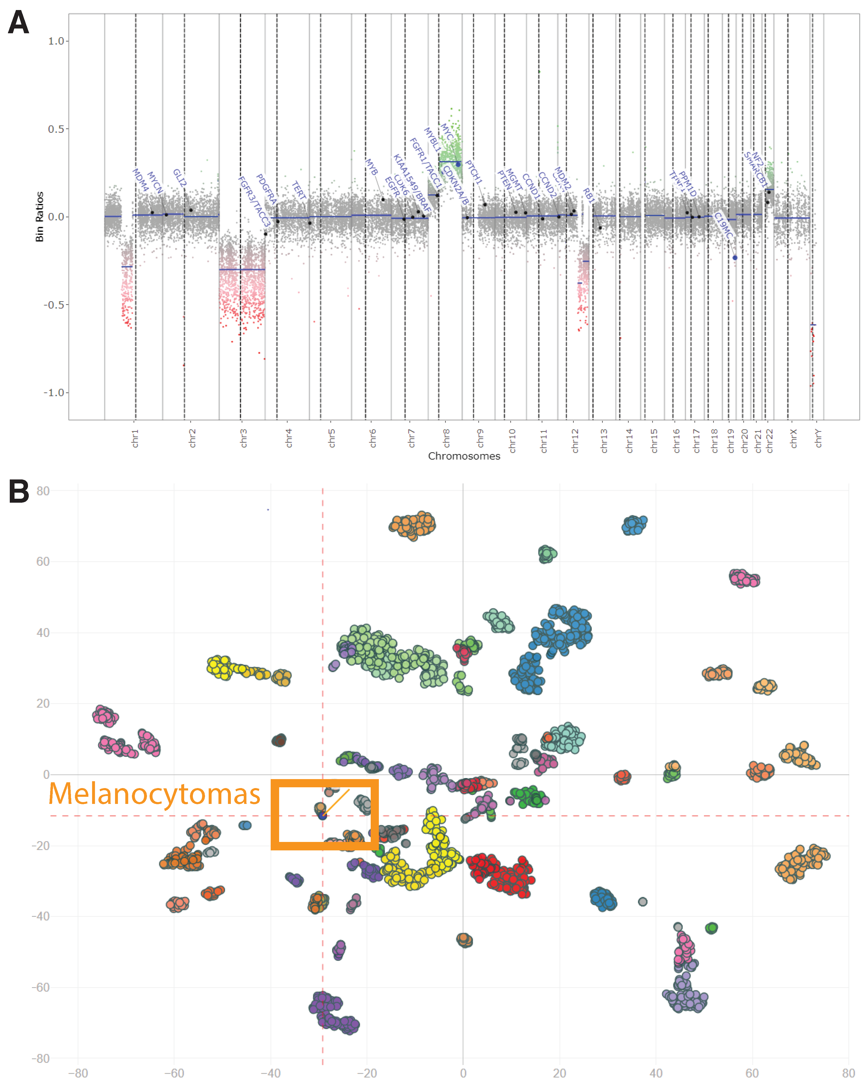 Biology 10 01290 g003