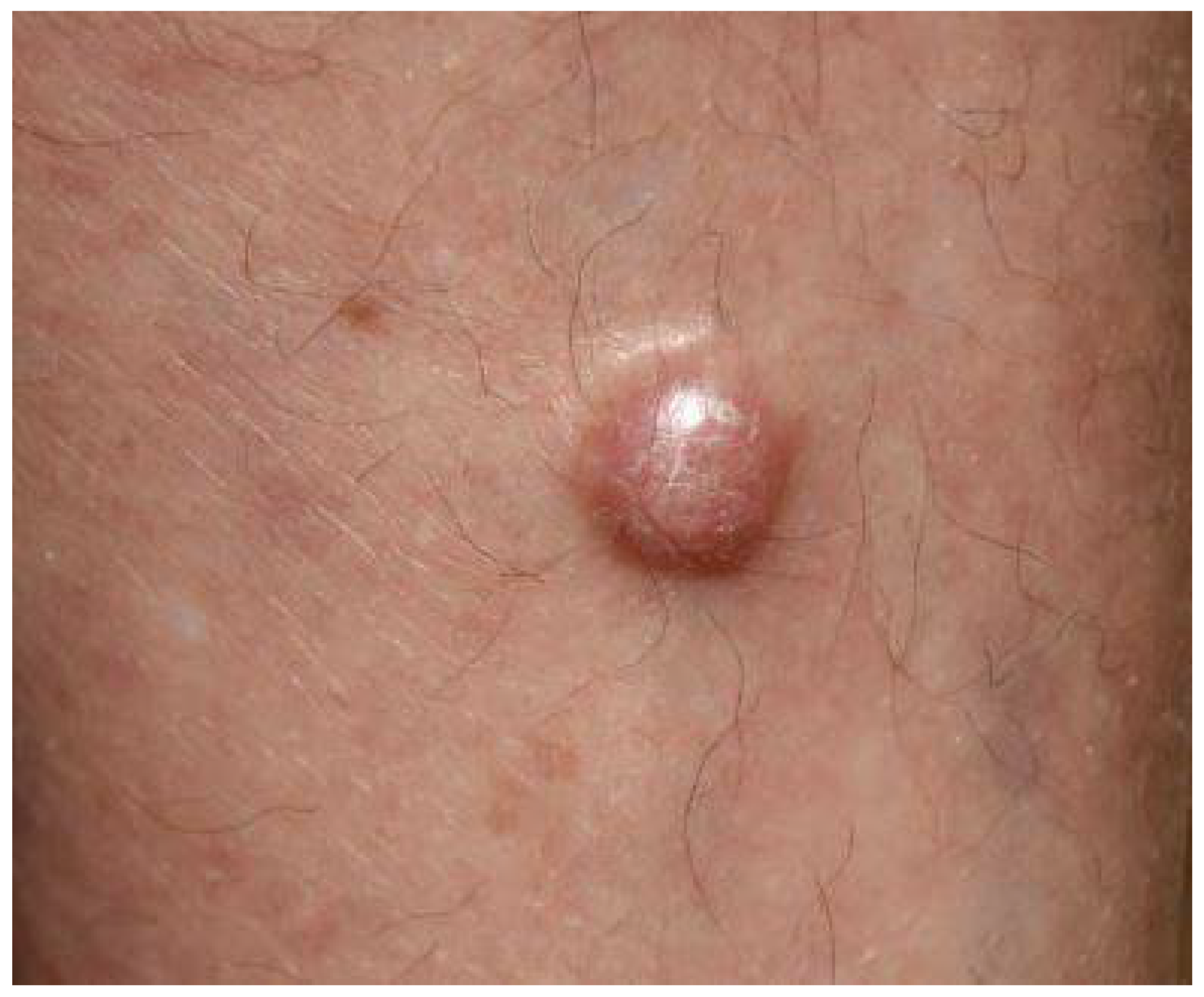 Biology 10 01293 g002 Biology 10 01293 g002