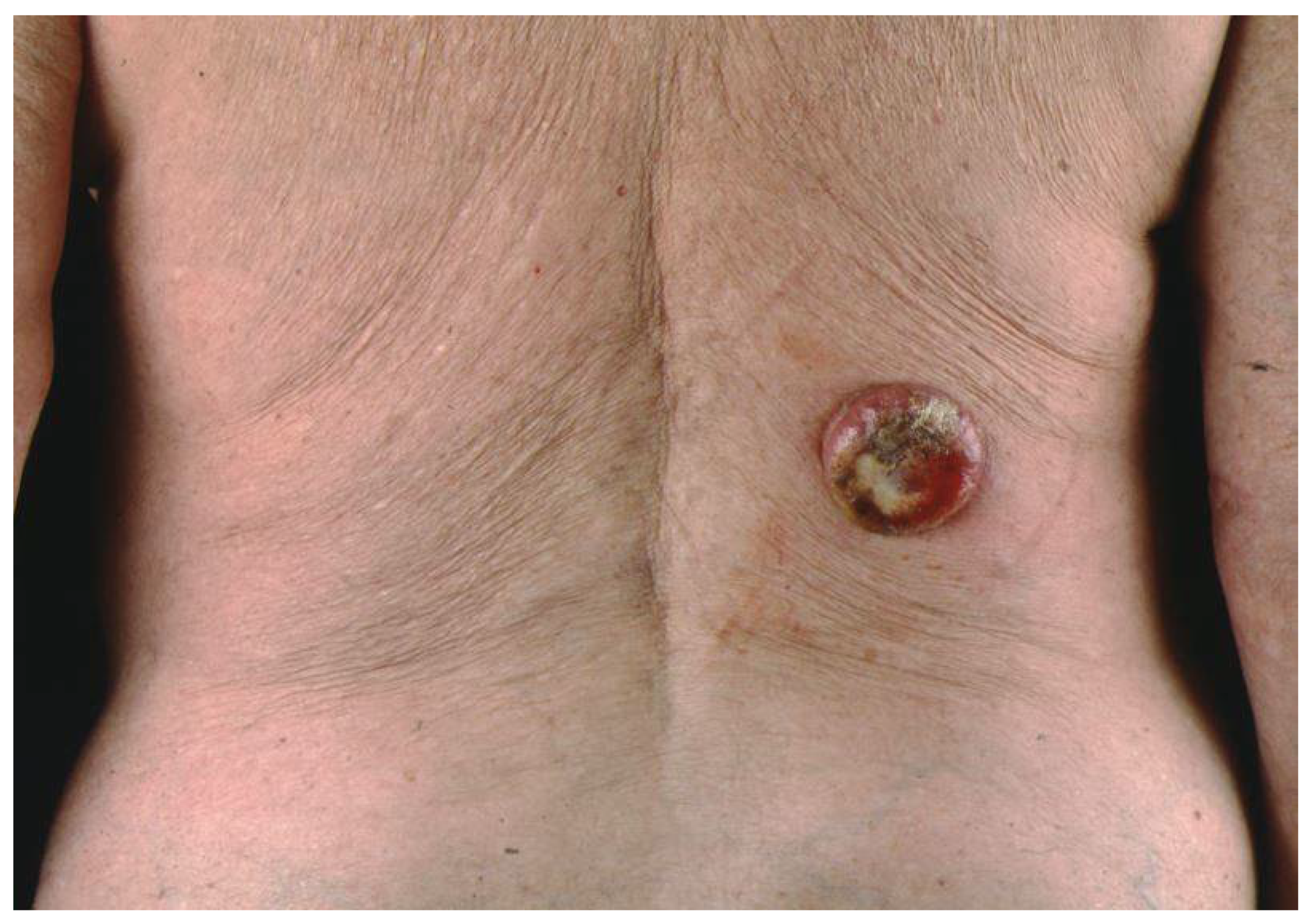 Biology 10 01293 g003 Biology 10 01293 g003