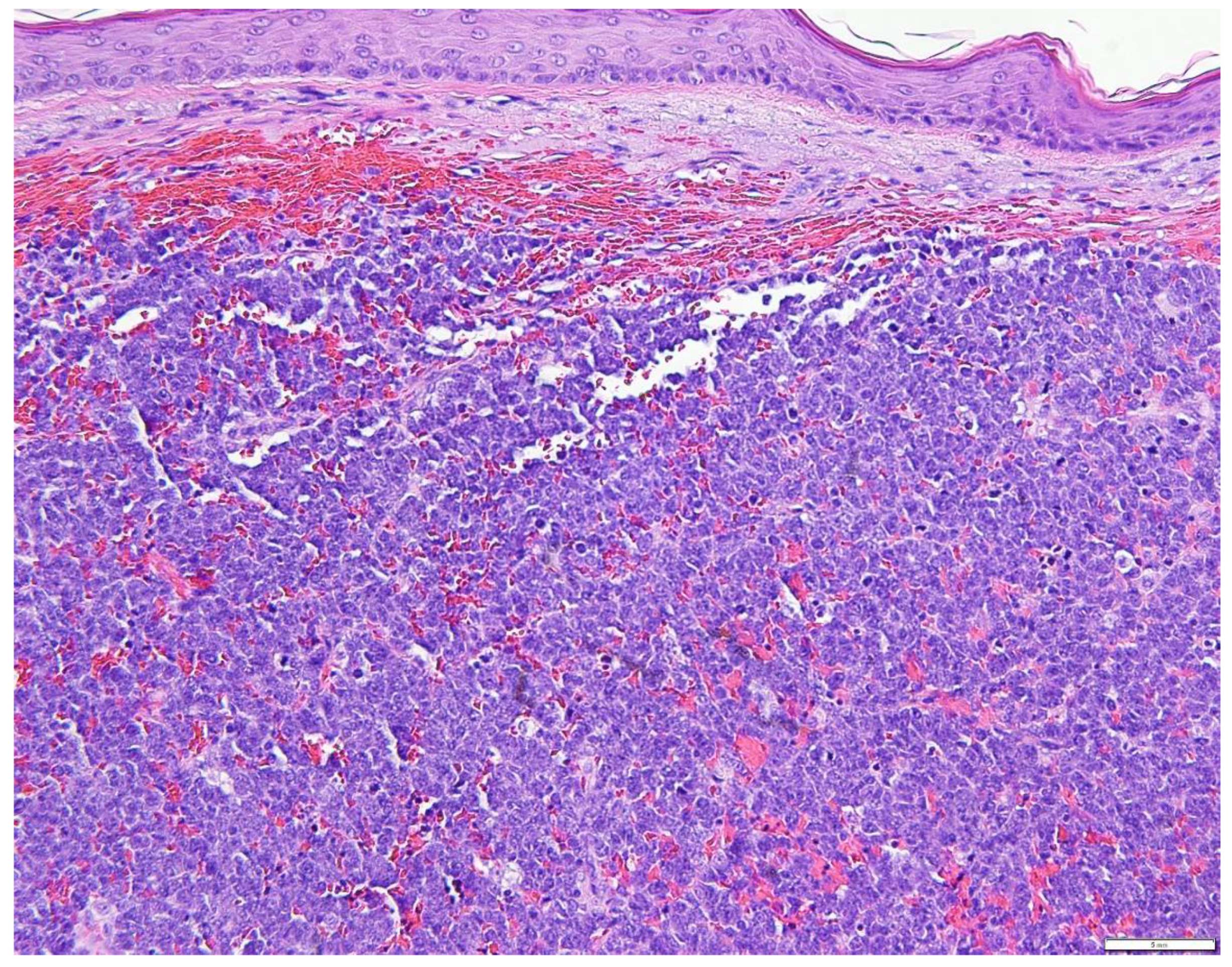 Biology 10 01293 g005 Biology 10 01293 g005