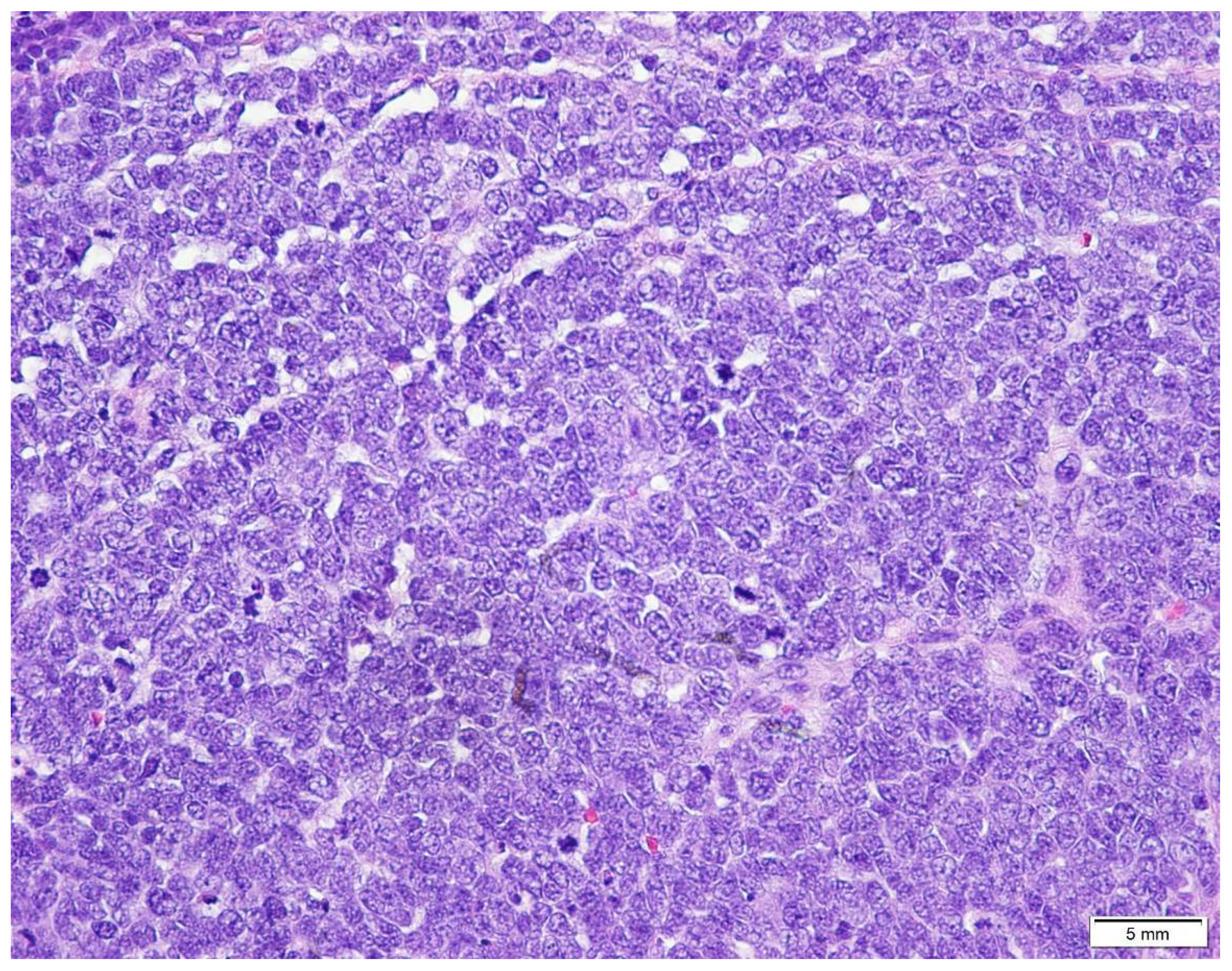 Biology 10 01293 g006 Biology 10 01293 g006