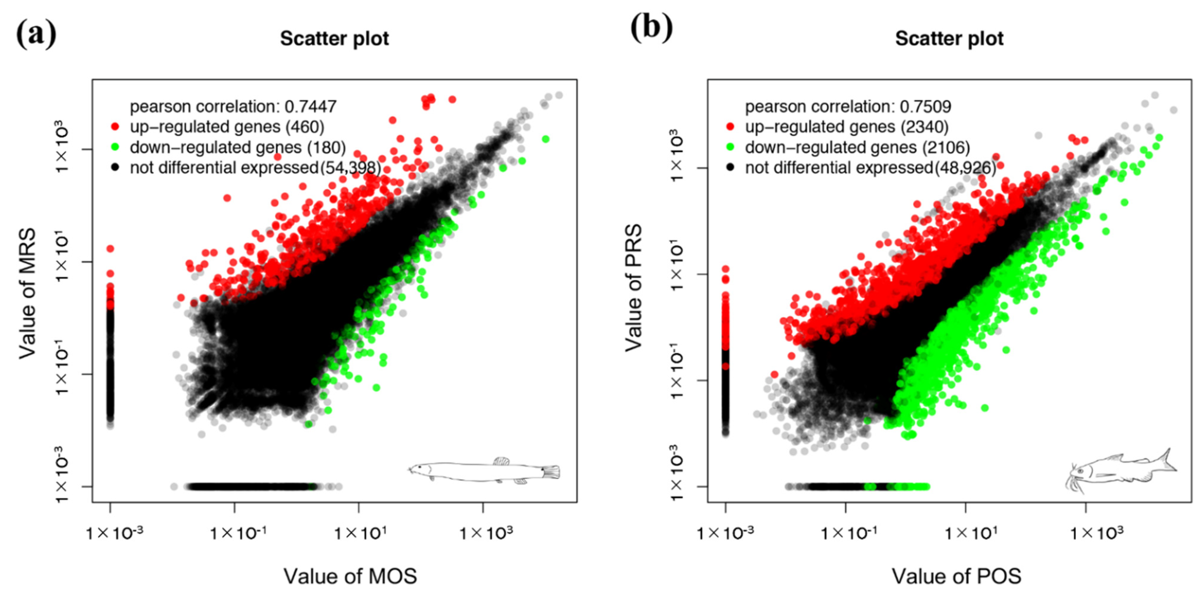 Biology 10 01294 g002 Biology 10 01294 g002