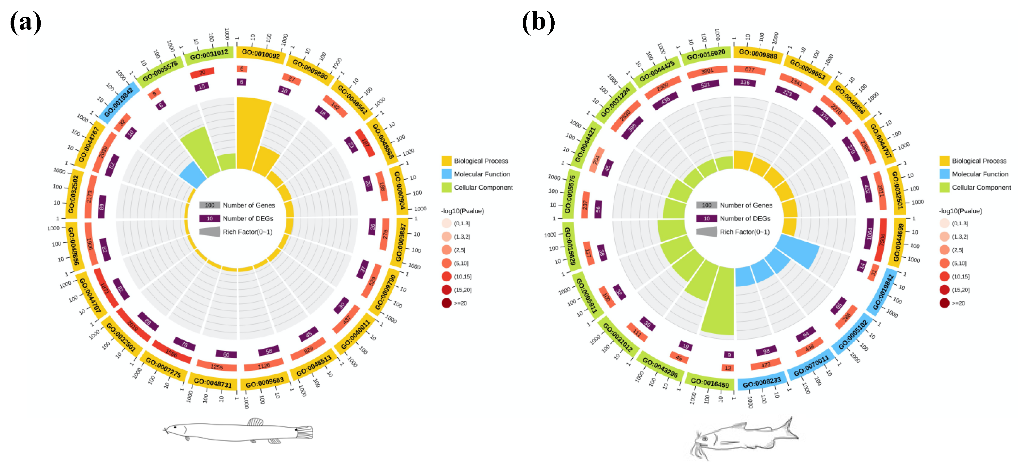 Biology 10 01294 g003 Biology 10 01294 g003