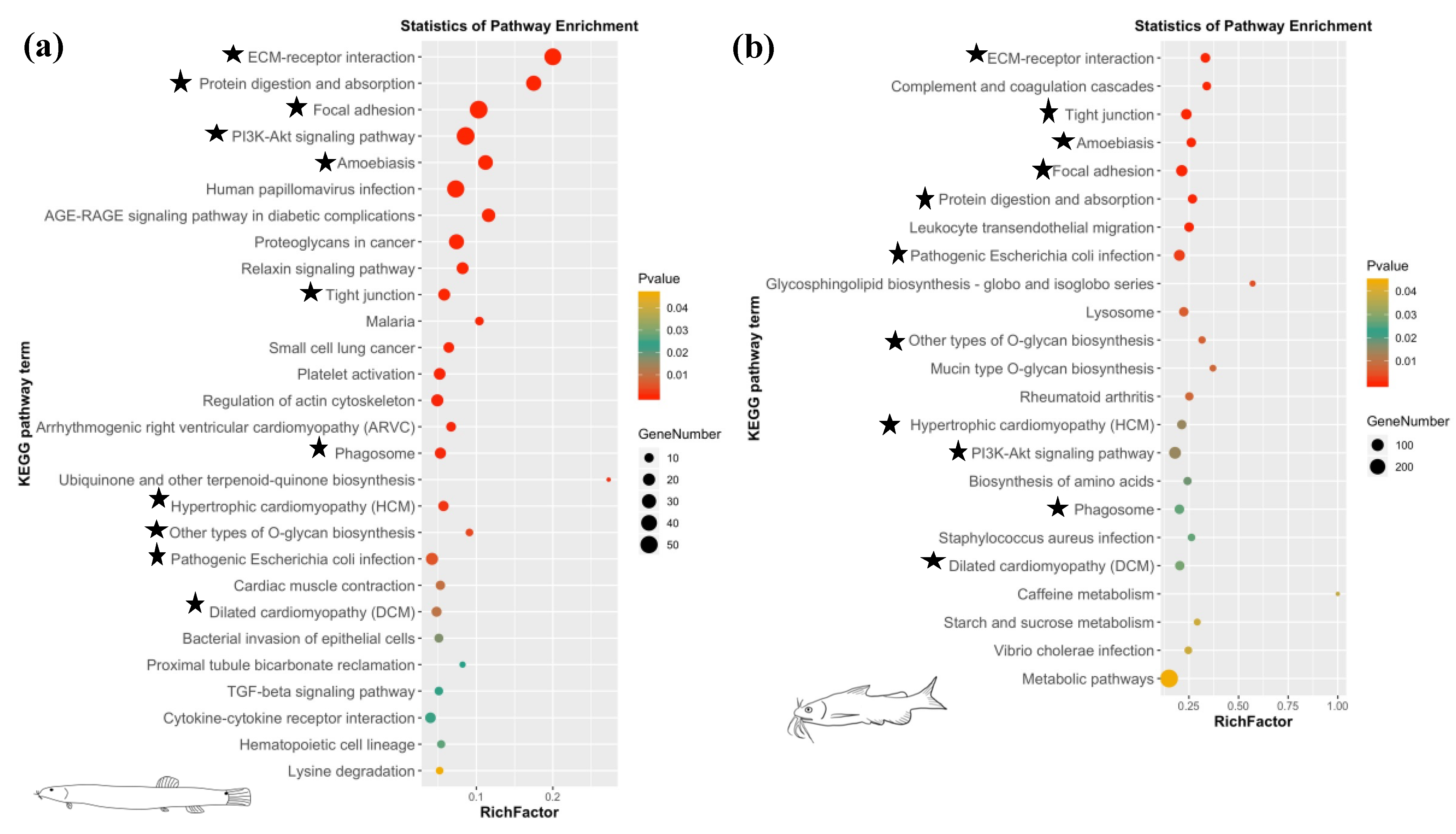 Biology 10 01294 g004 Biology 10 01294 g004