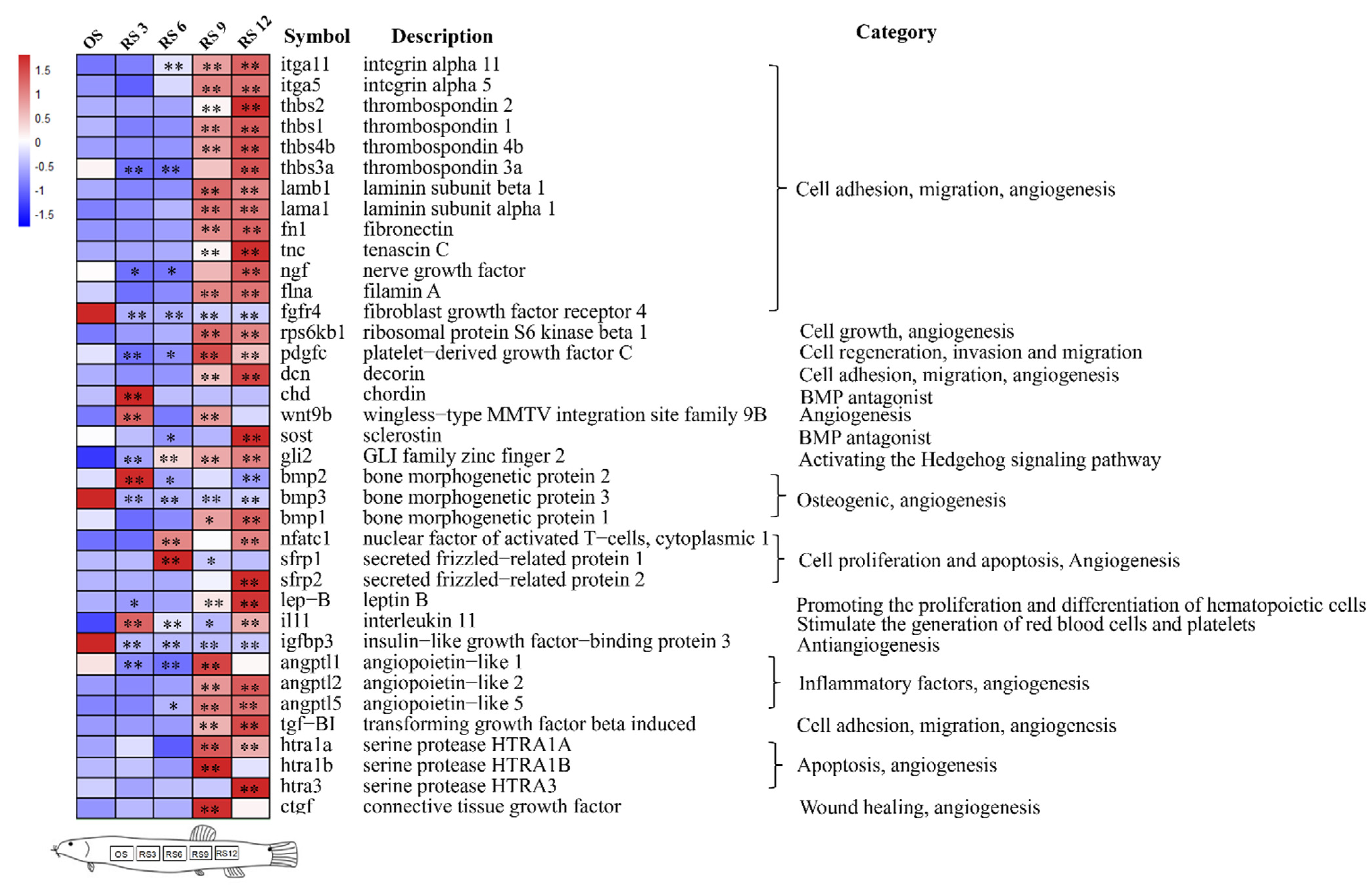 Biology 10 01294 g005 Biology 10 01294 g005