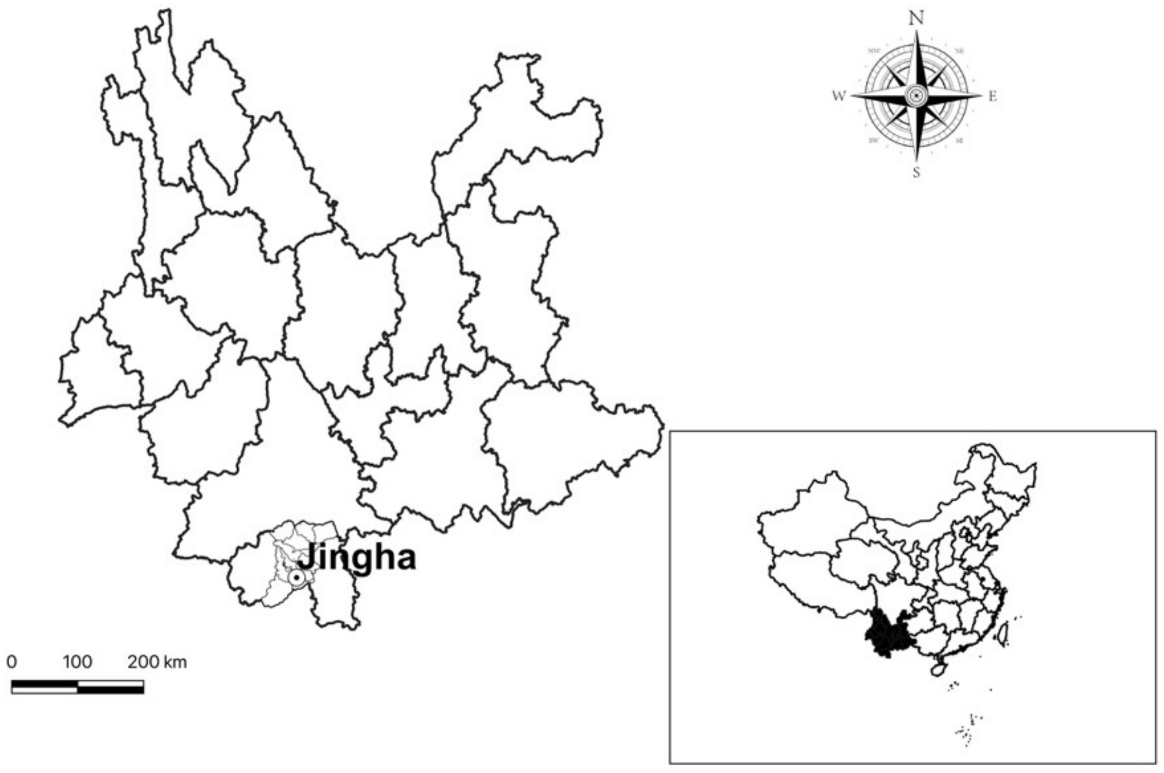 Biology Free Full-Text Infestation and Seasonal Fluctuation of Gamasid Mites (Parasitiformes Gamasida) on Indochinese Forest Rat, Rattus andamanensis (Rodentia Muridae) in Southern Yunnan of China pic pic