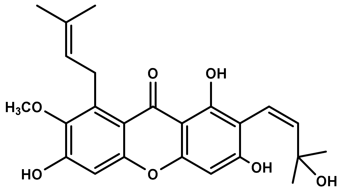 Biology 10 01298 g001