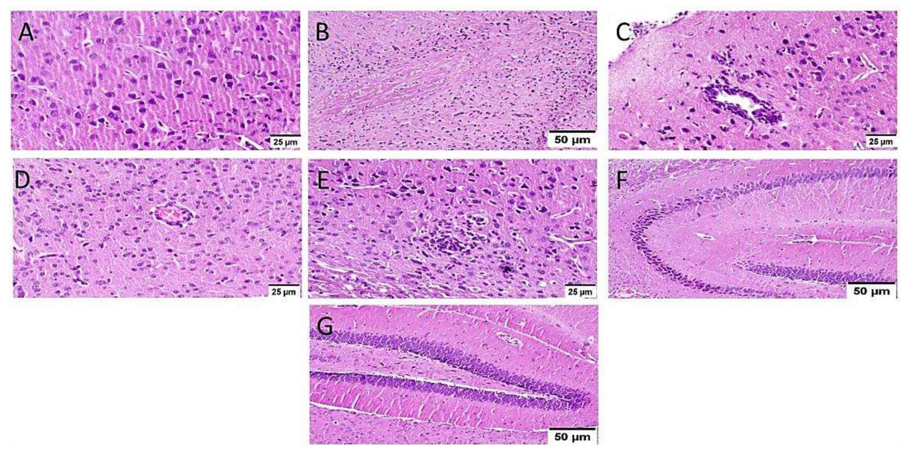 Biology 10 01298 g008
