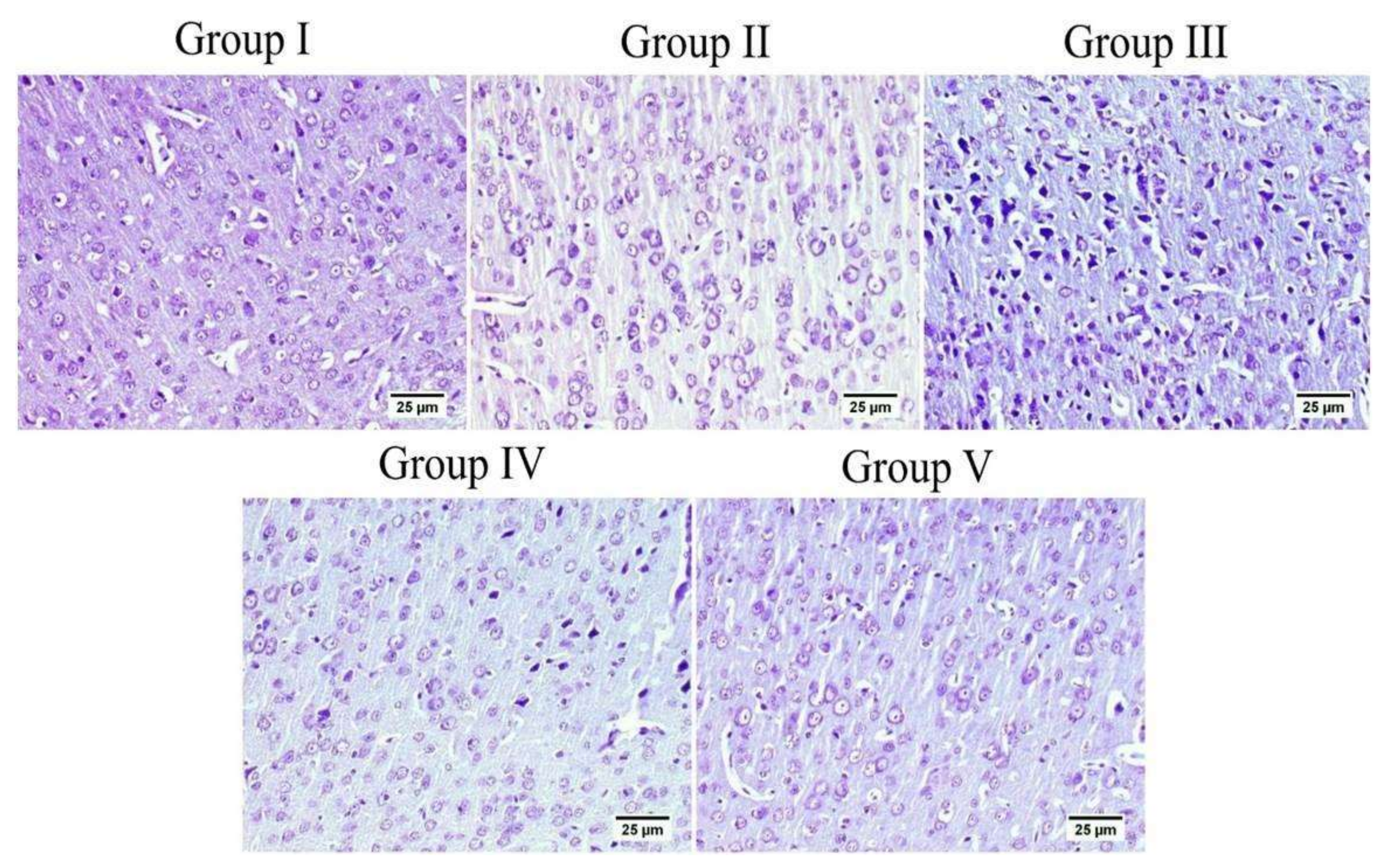 Biology 10 01298 g012