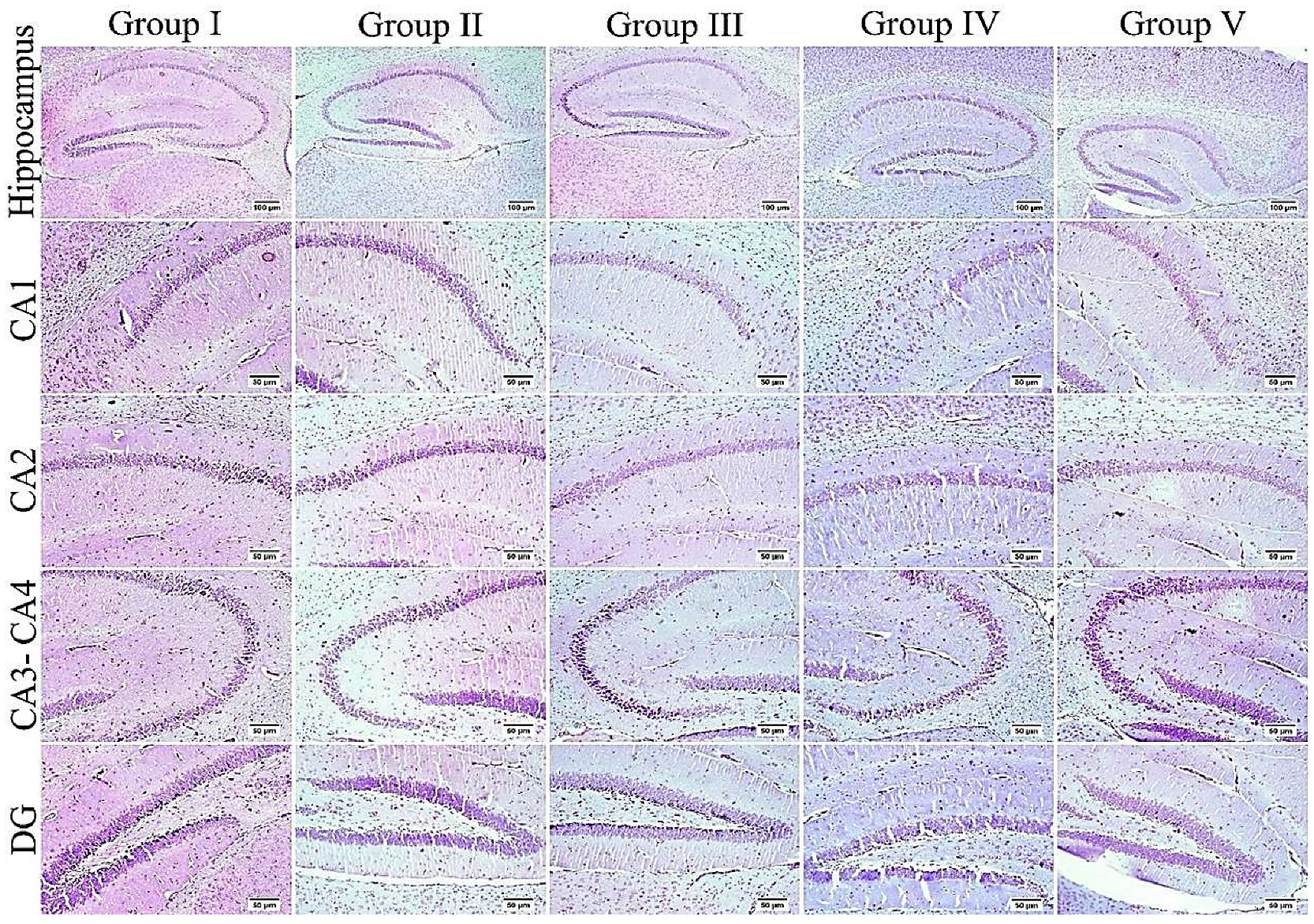 Biology 10 01298 g013