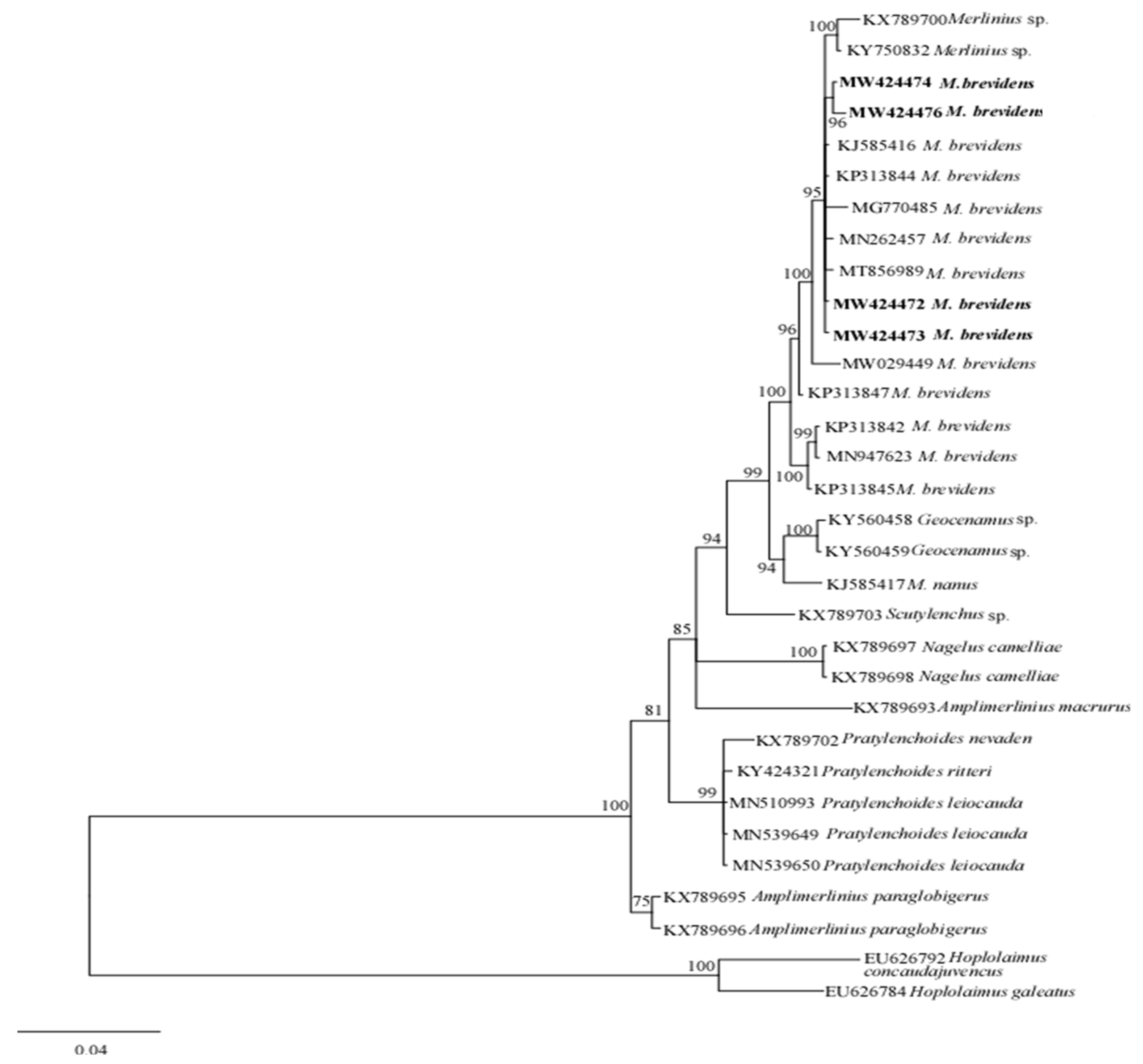 Biology 10 01299 g005