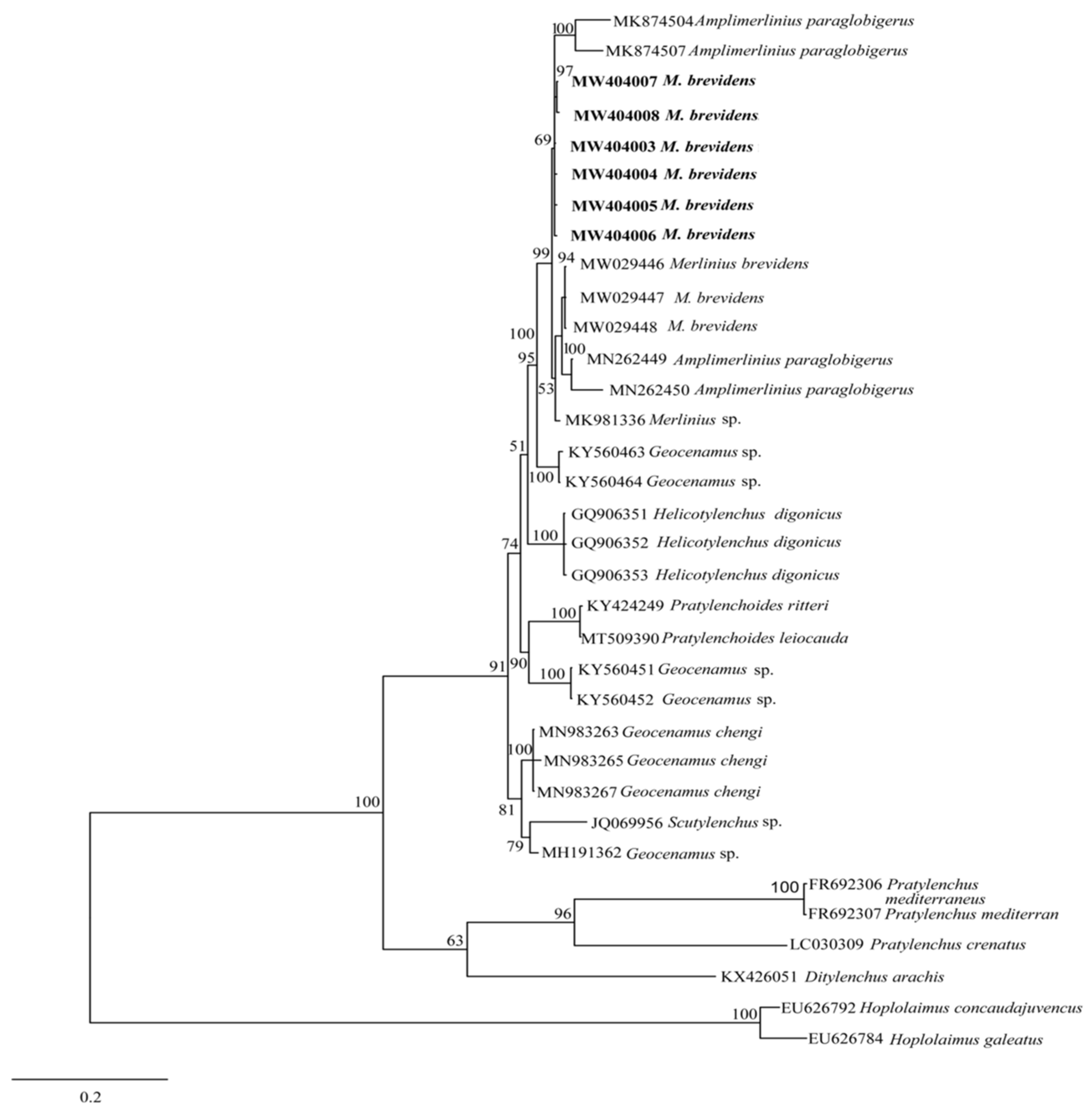 Biology 10 01299 g006 550