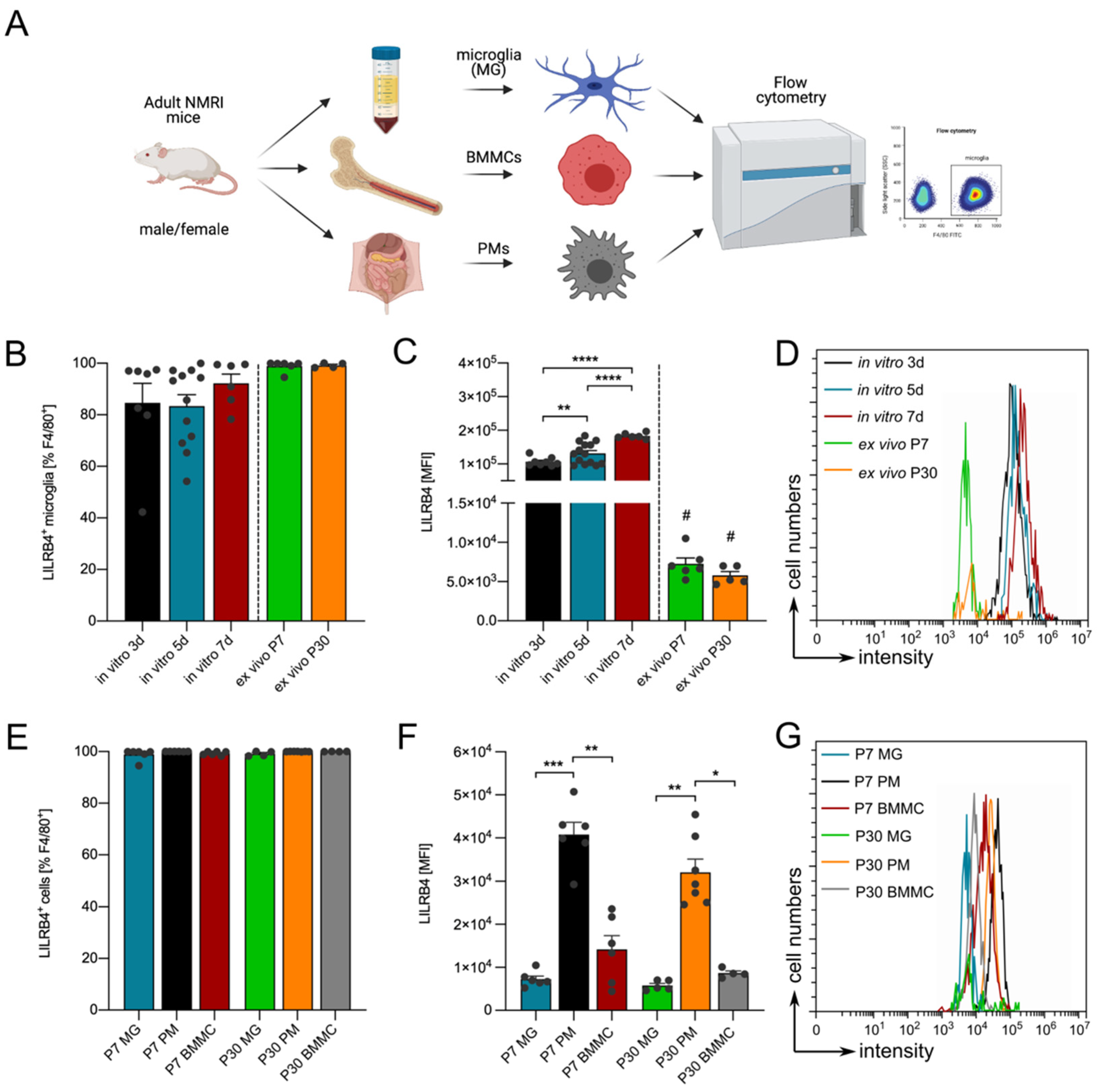 Biology 10 01300 g003 550