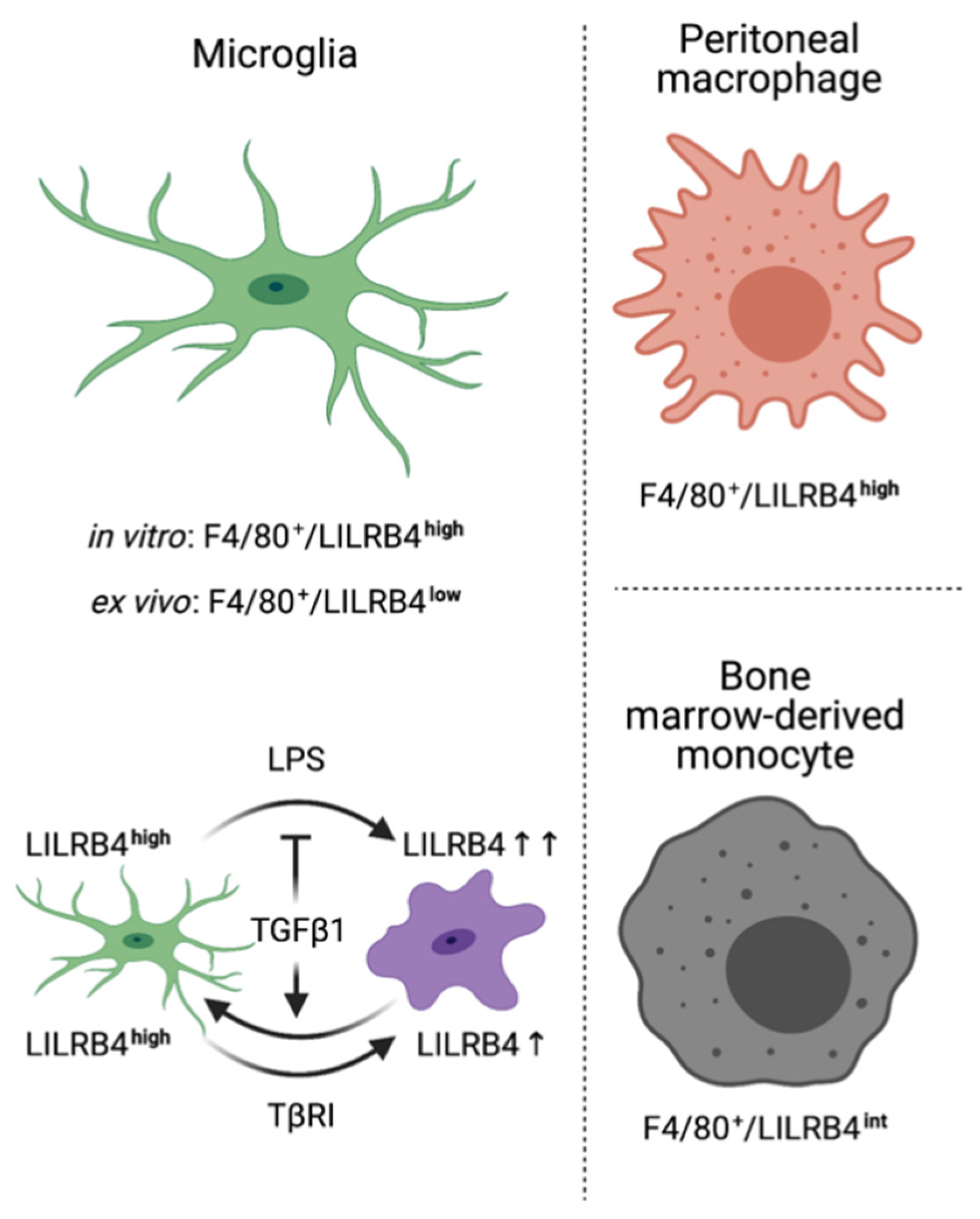 Biology 10 01300 g004 550