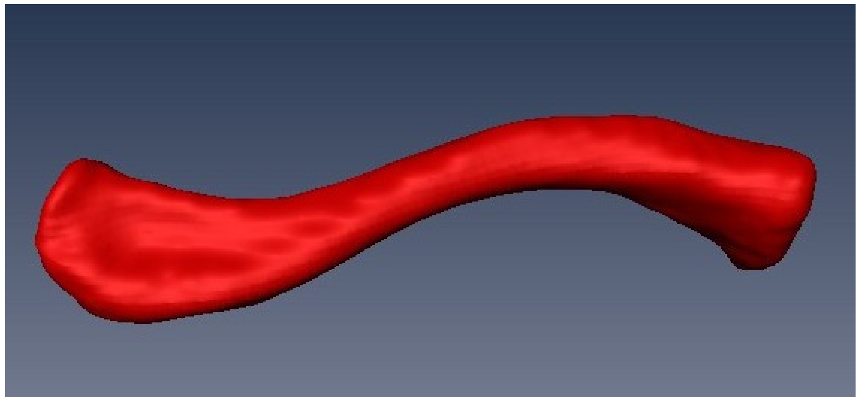 Biology 10 01303 g001