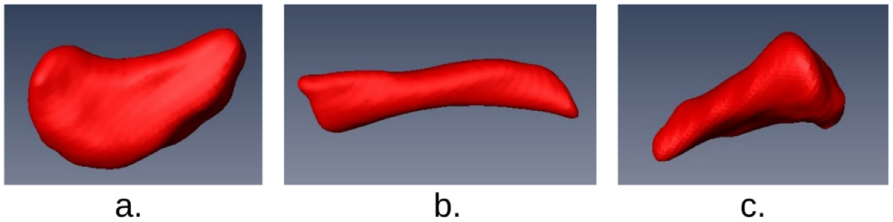 Biology 10 01303 g002