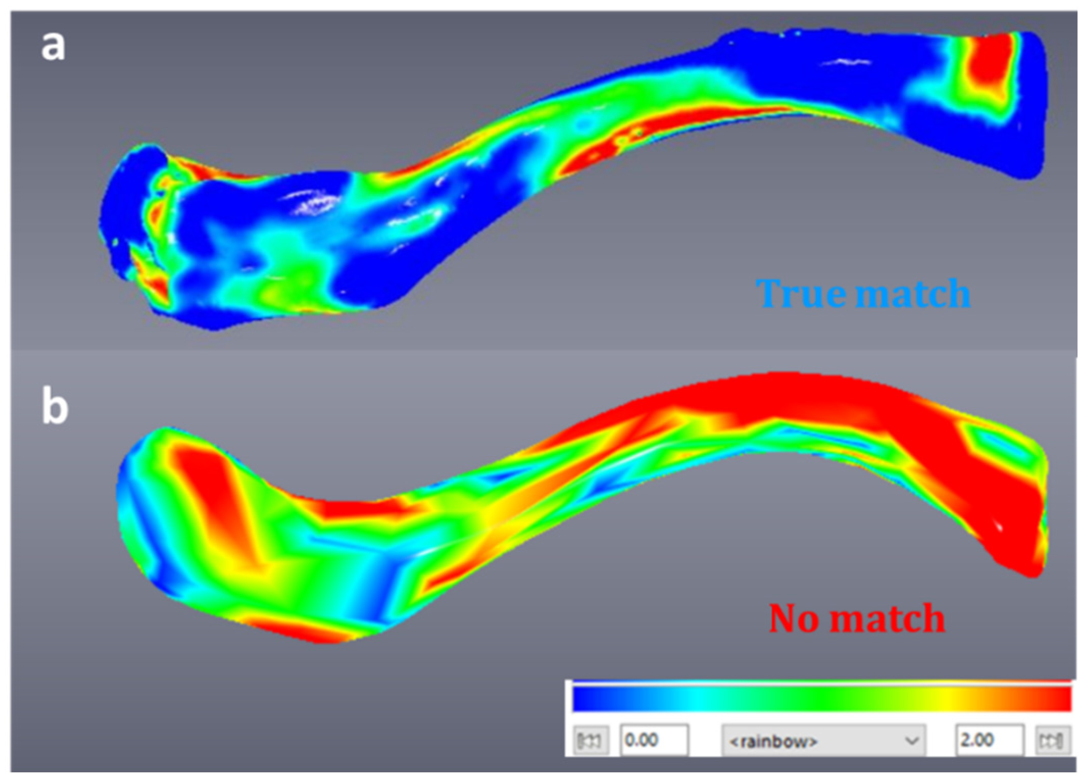 Biology 10 01303 g004