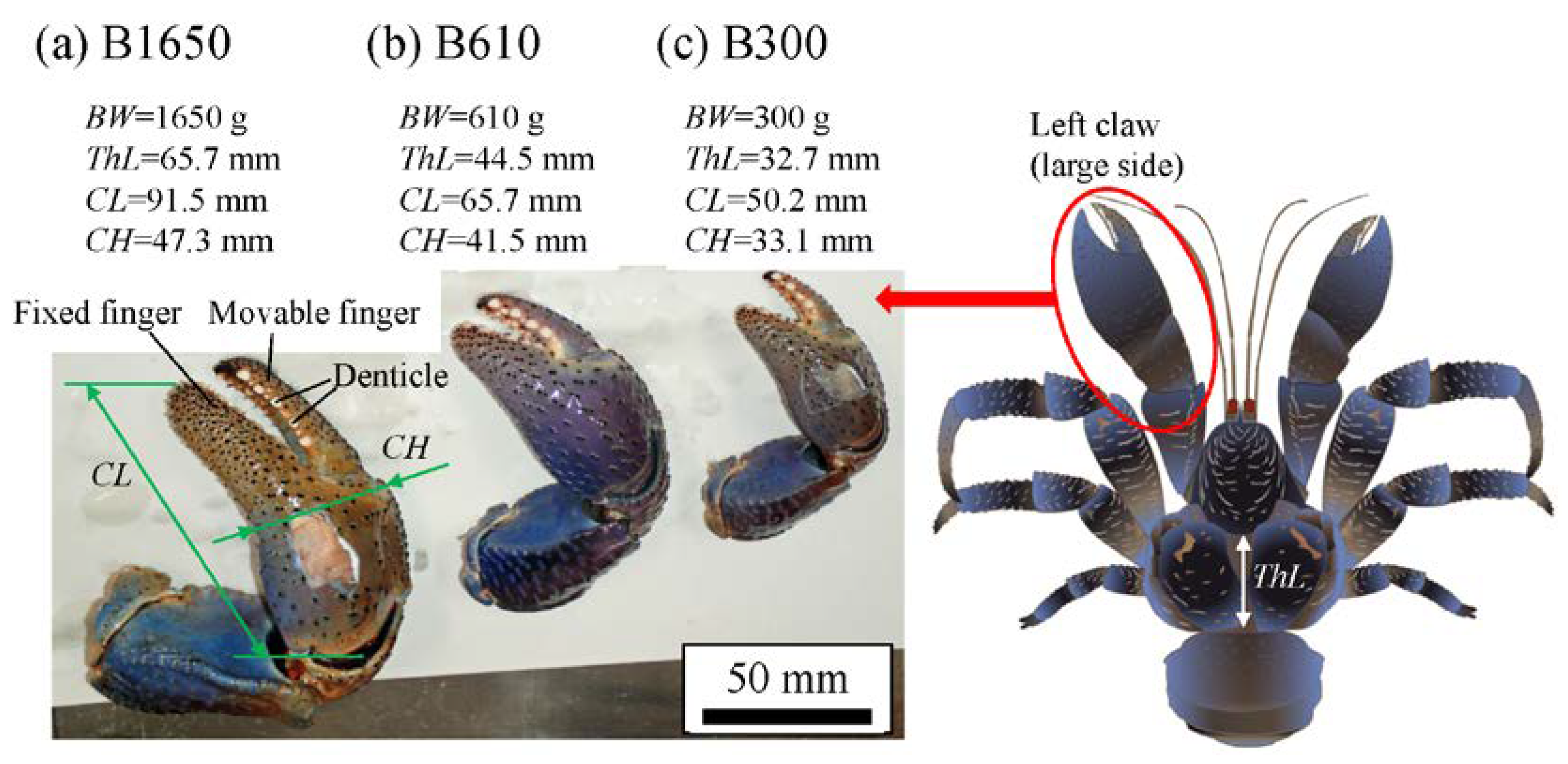 Biology 10 01304 g002 Biology 10 01304 g002