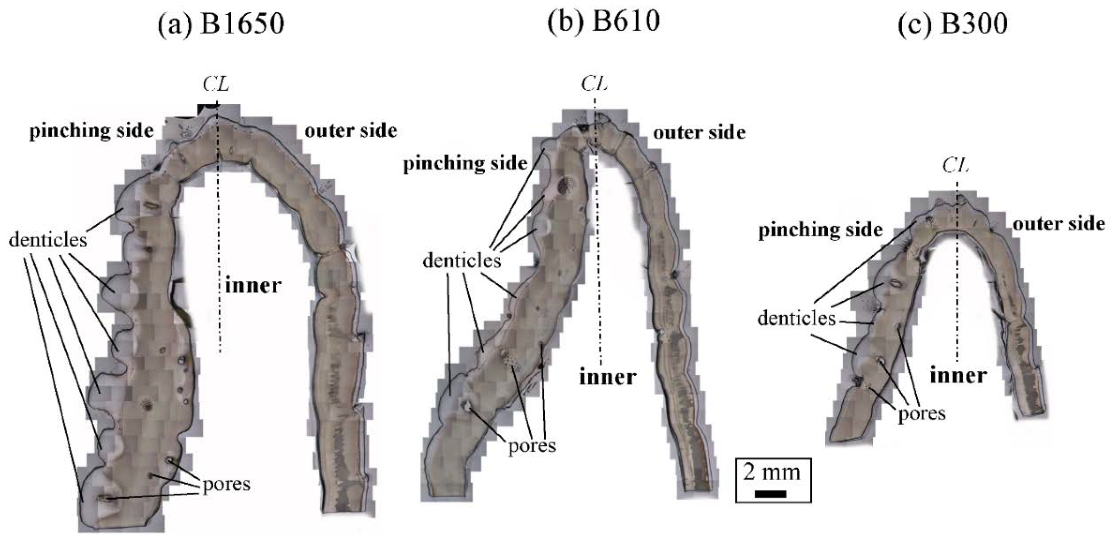 Biology 10 01304 g003 Biology 10 01304 g003