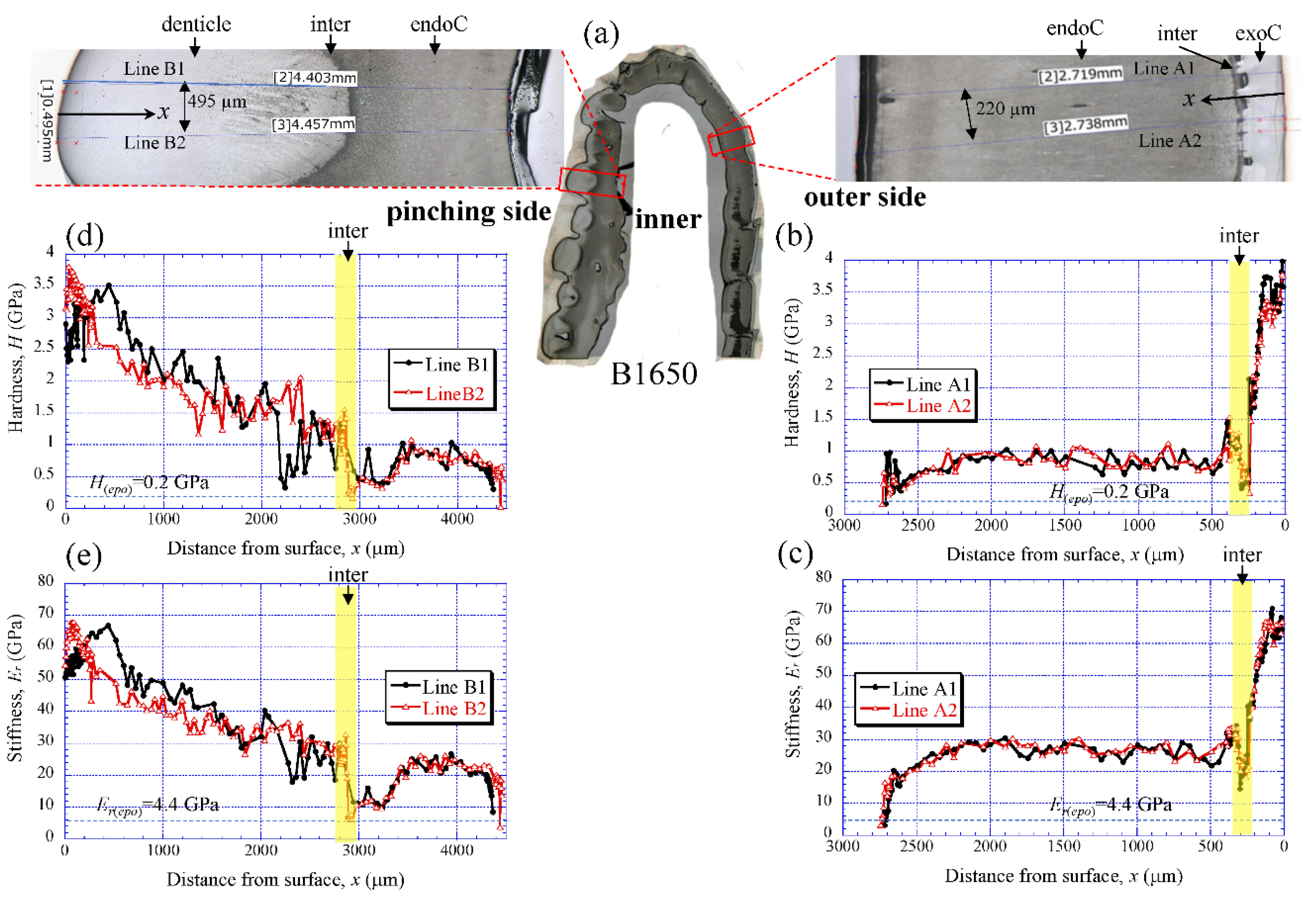 Biology 10 01304 g005 Biology 10 01304 g005