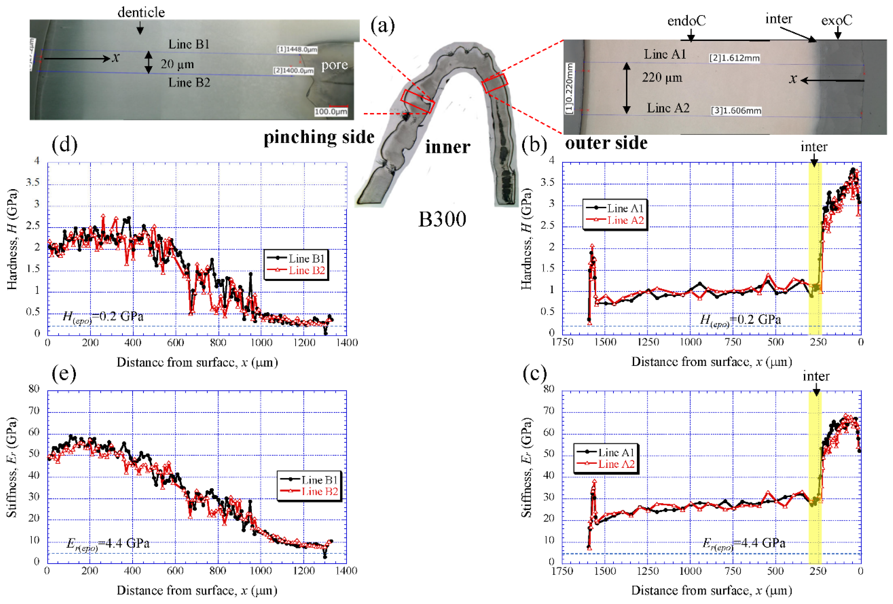 Biology 10 01304 g006 Biology 10 01304 g006