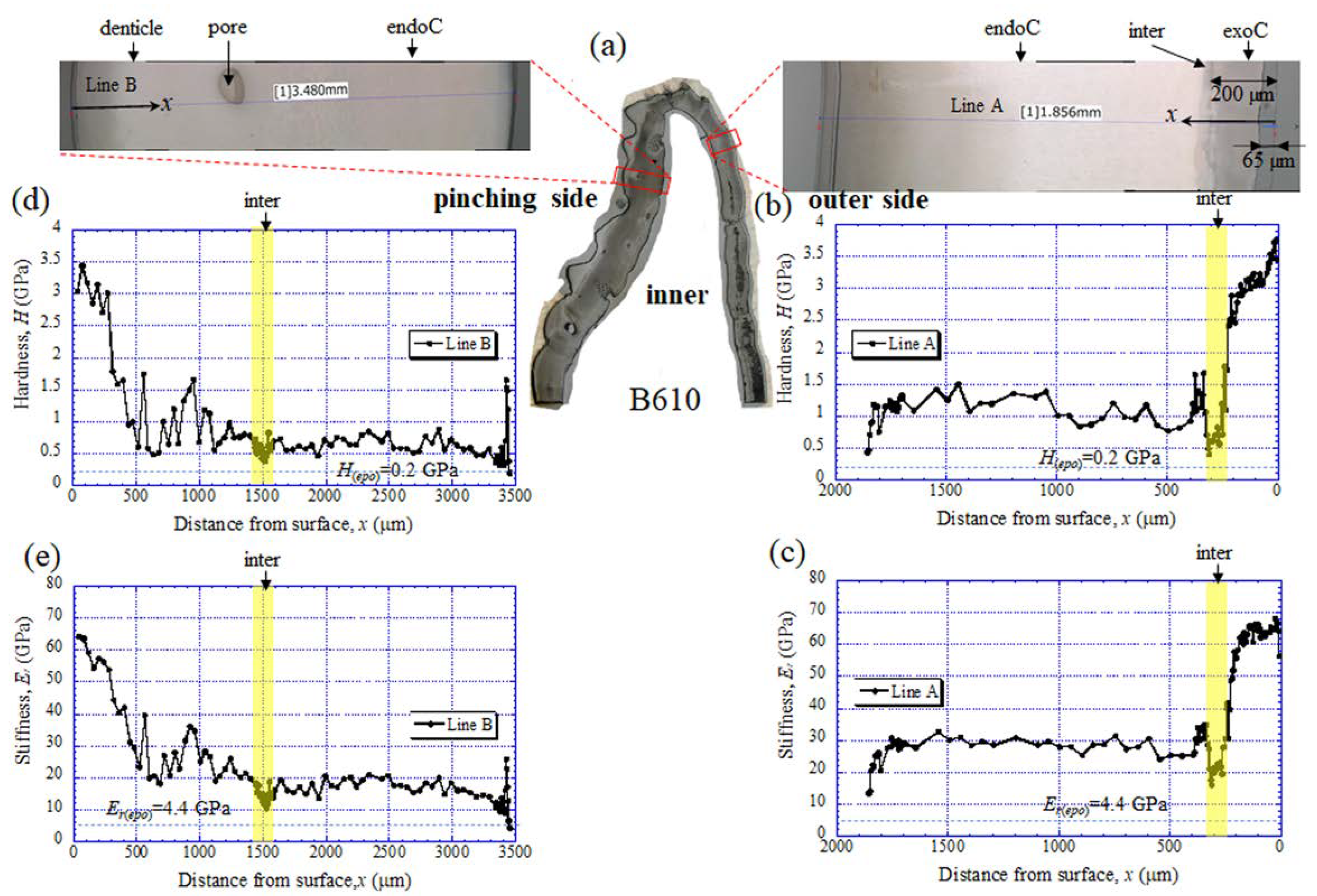 Biology 10 01304 g007 Biology 10 01304 g007