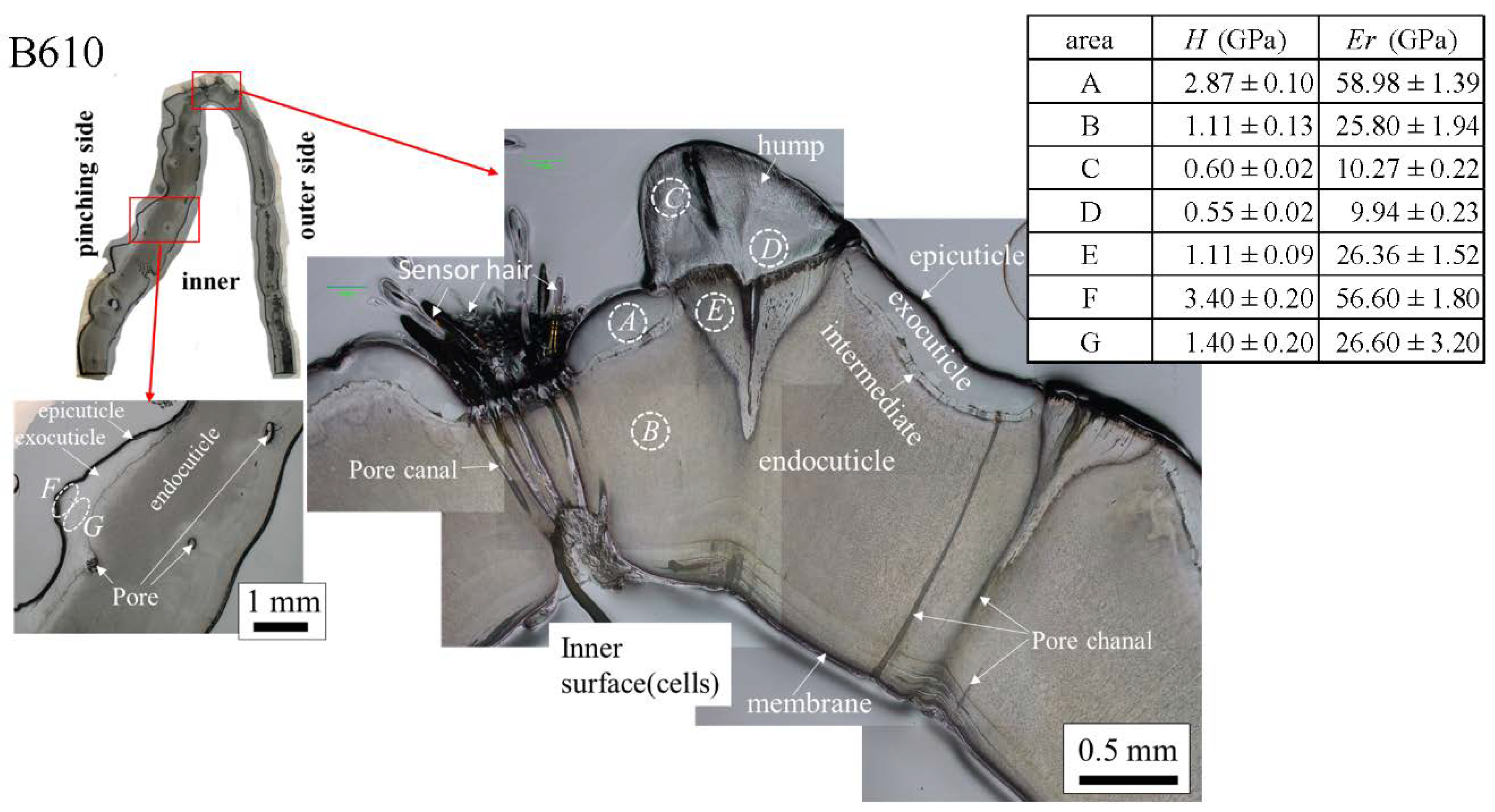 Biology 10 01304 g008 Biology 10 01304 g008