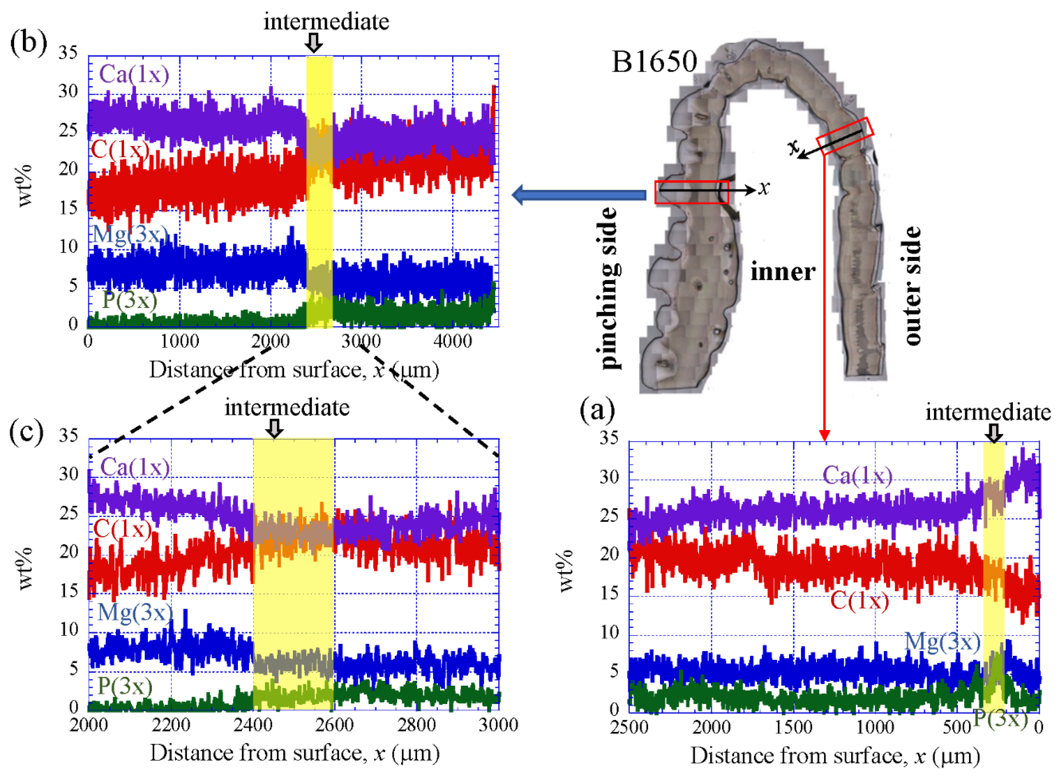 Biology 10 01304 g009 Biology 10 01304 g009