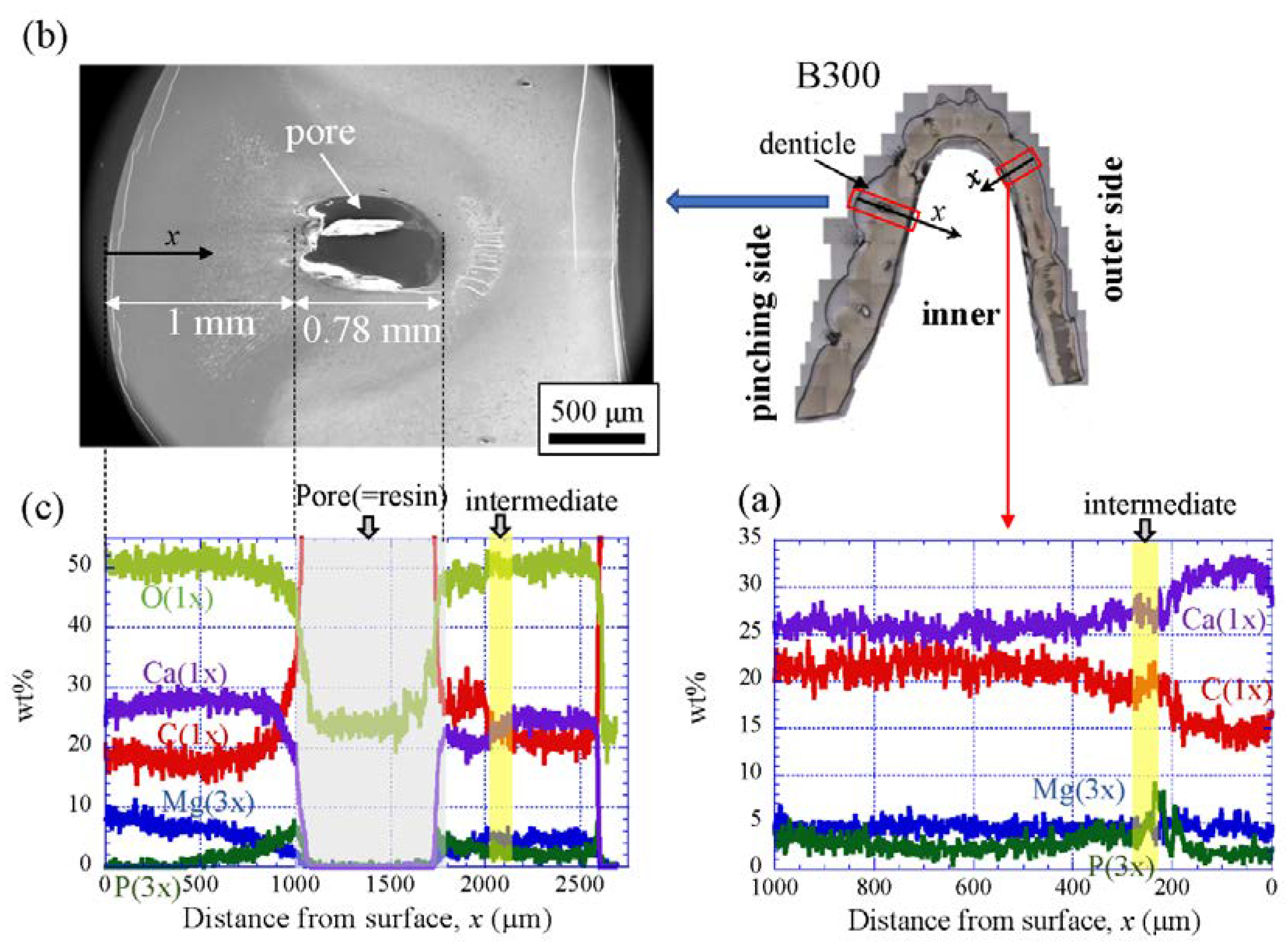 Biology 10 01304 g010 Biology 10 01304 g010