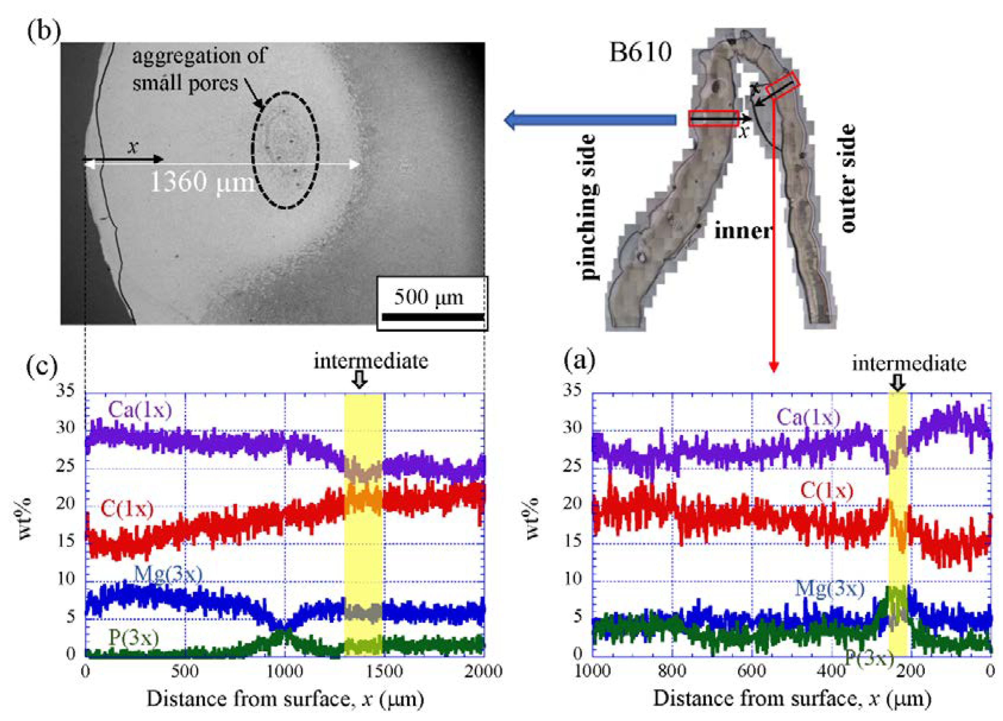 Biology 10 01304 g011 Biology 10 01304 g011