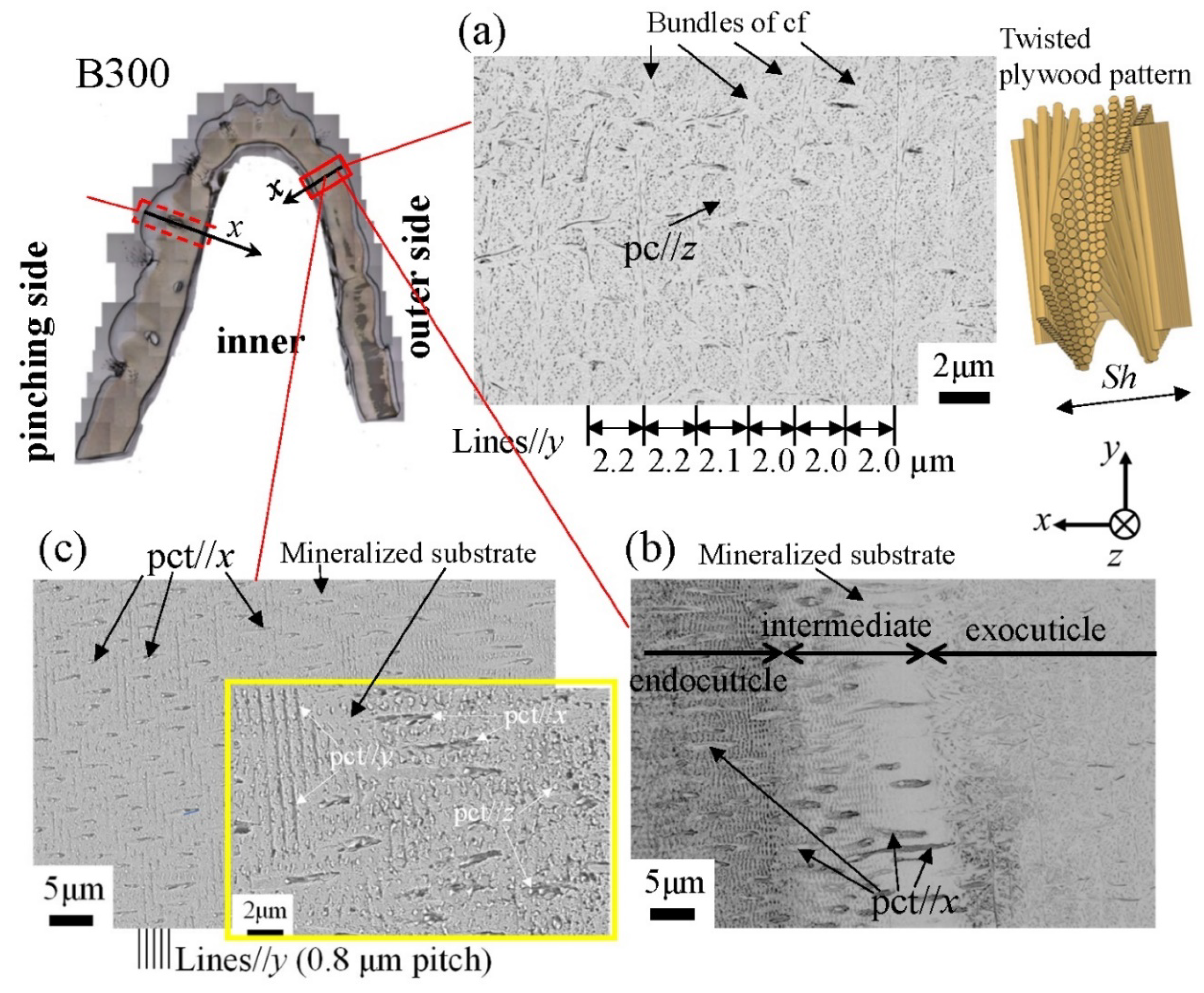 Biology 10 01304 g013 Biology 10 01304 g013