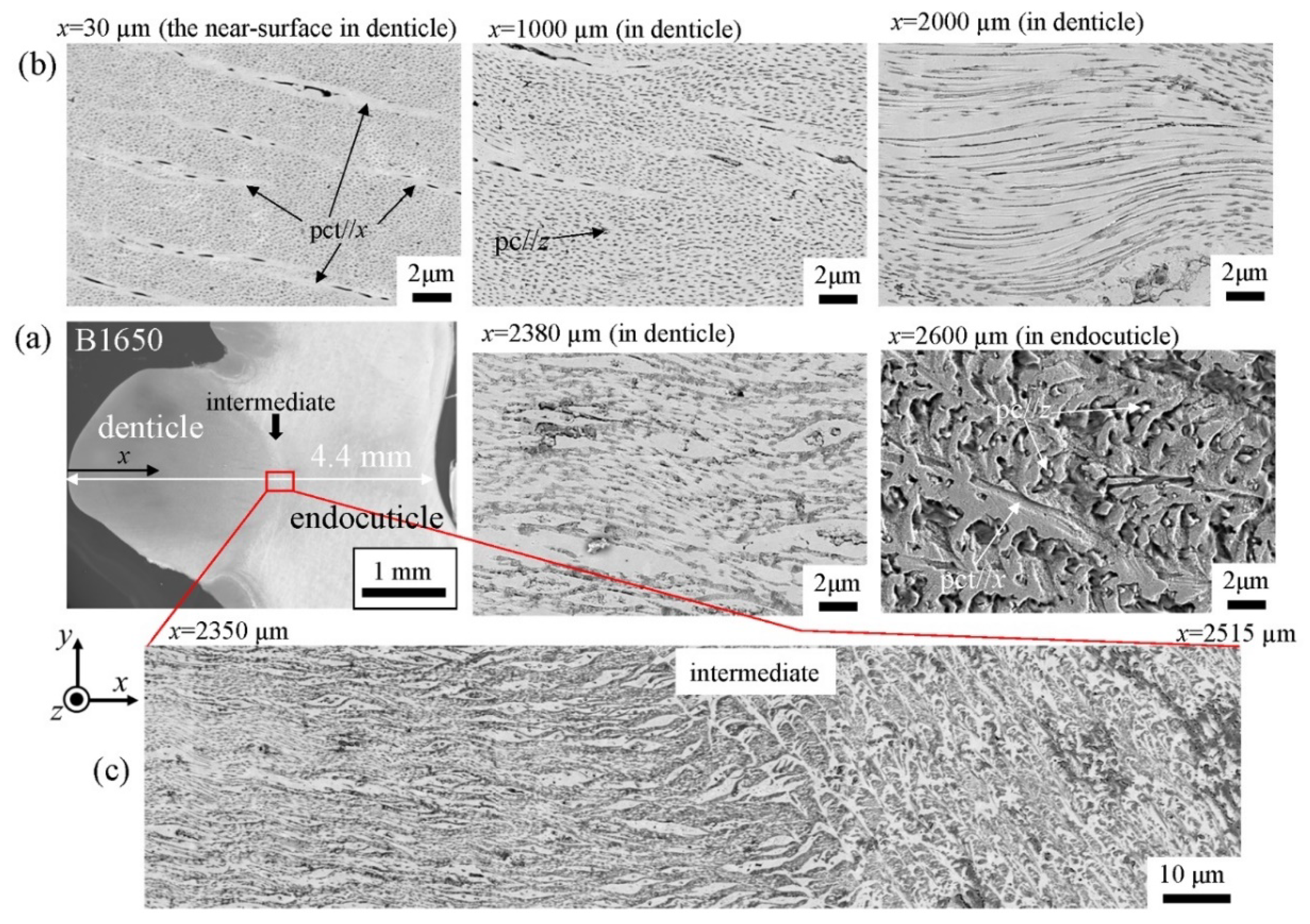 Biology 10 01304 g014 Biology 10 01304 g014