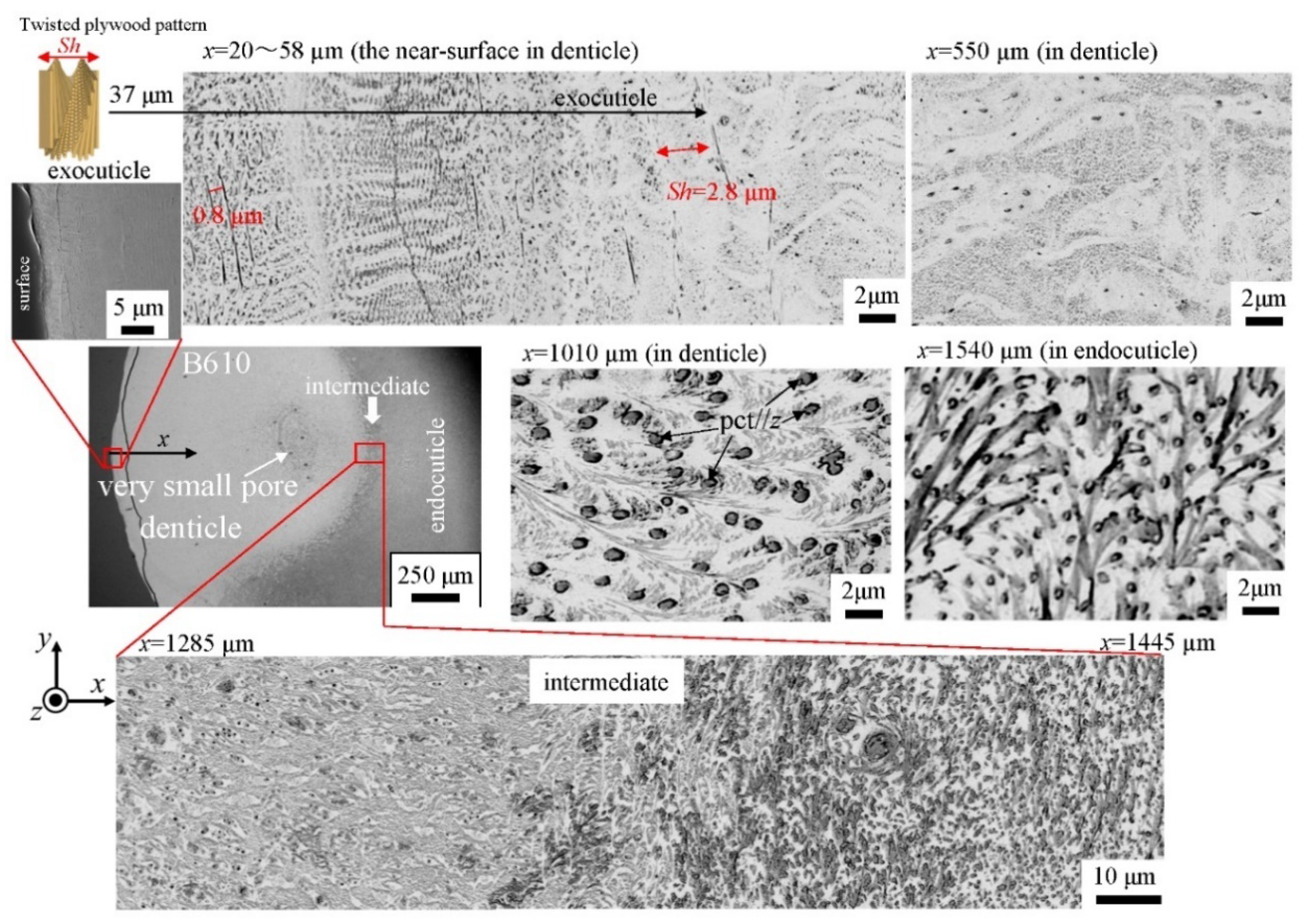 Biology 10 01304 g016 Biology 10 01304 g016