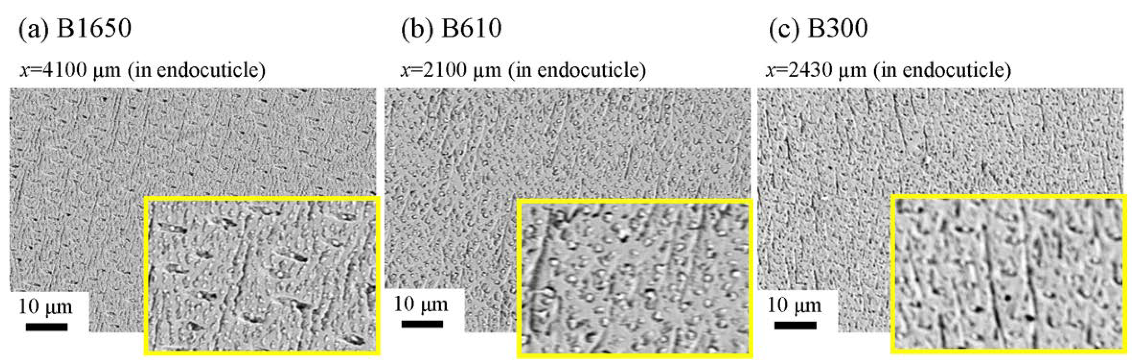Biology 10 01304 g017 Biology 10 01304 g017
