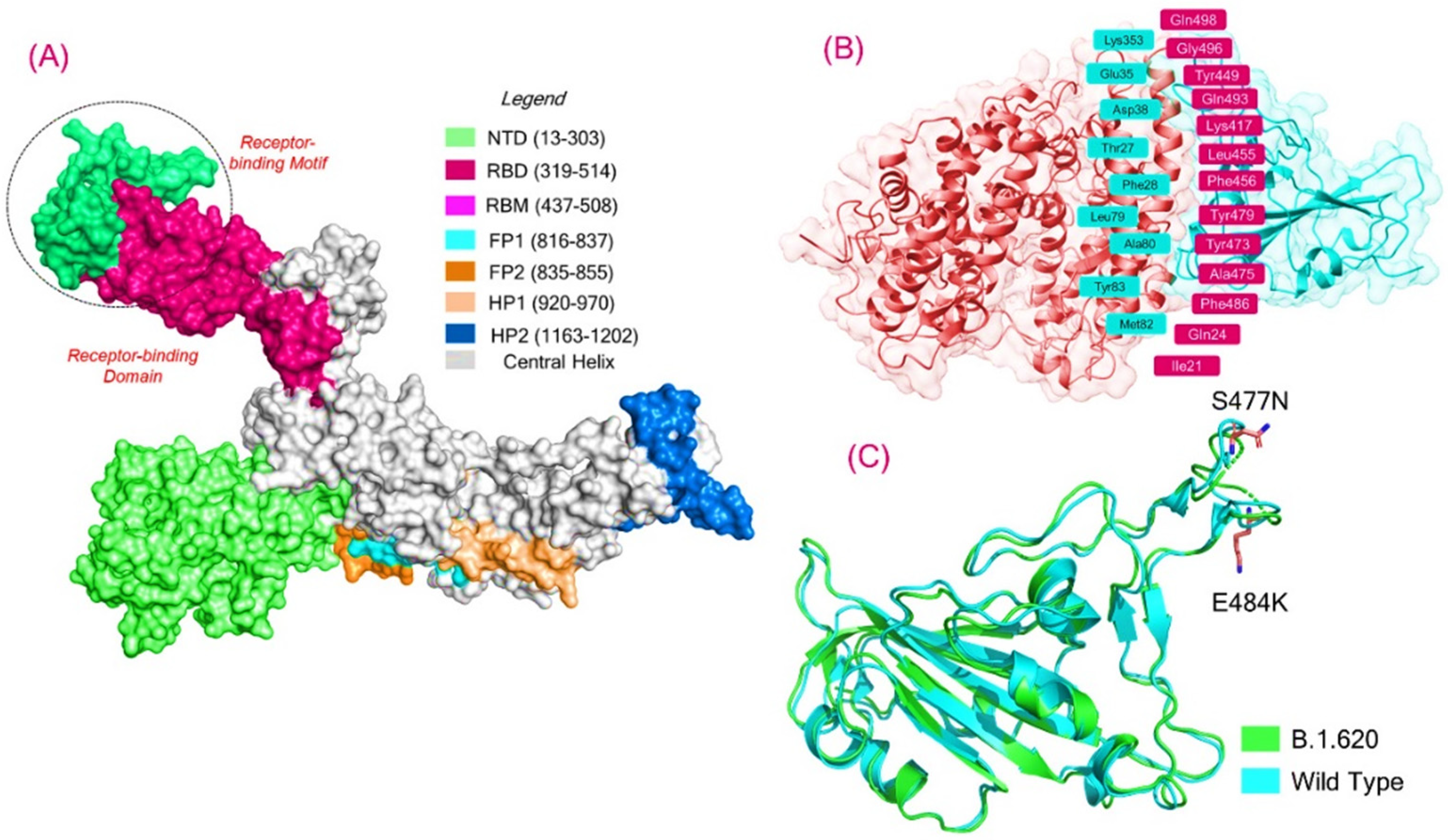 Biology 10 01310 g001 550