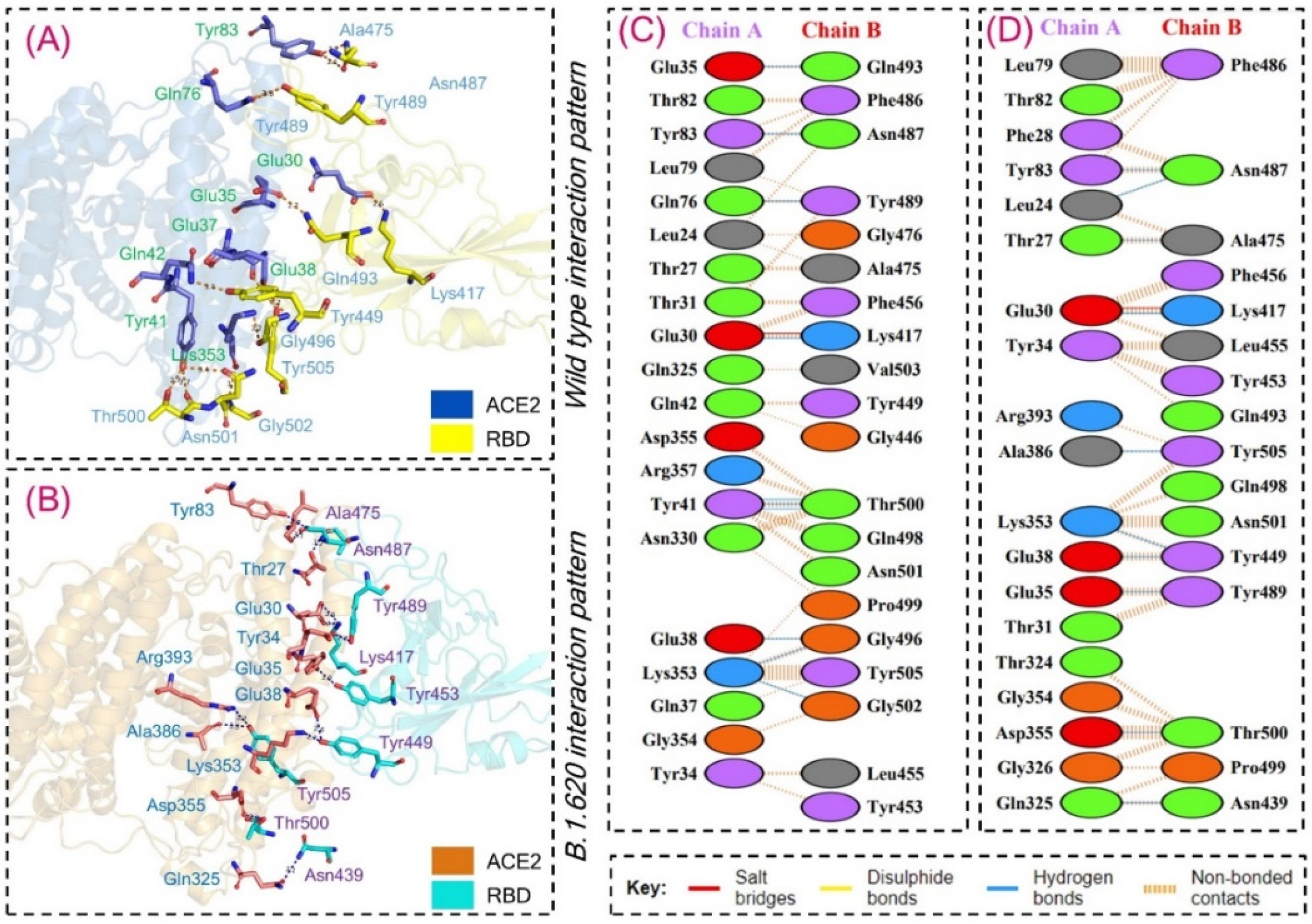 Biology 10 01310 g002 550