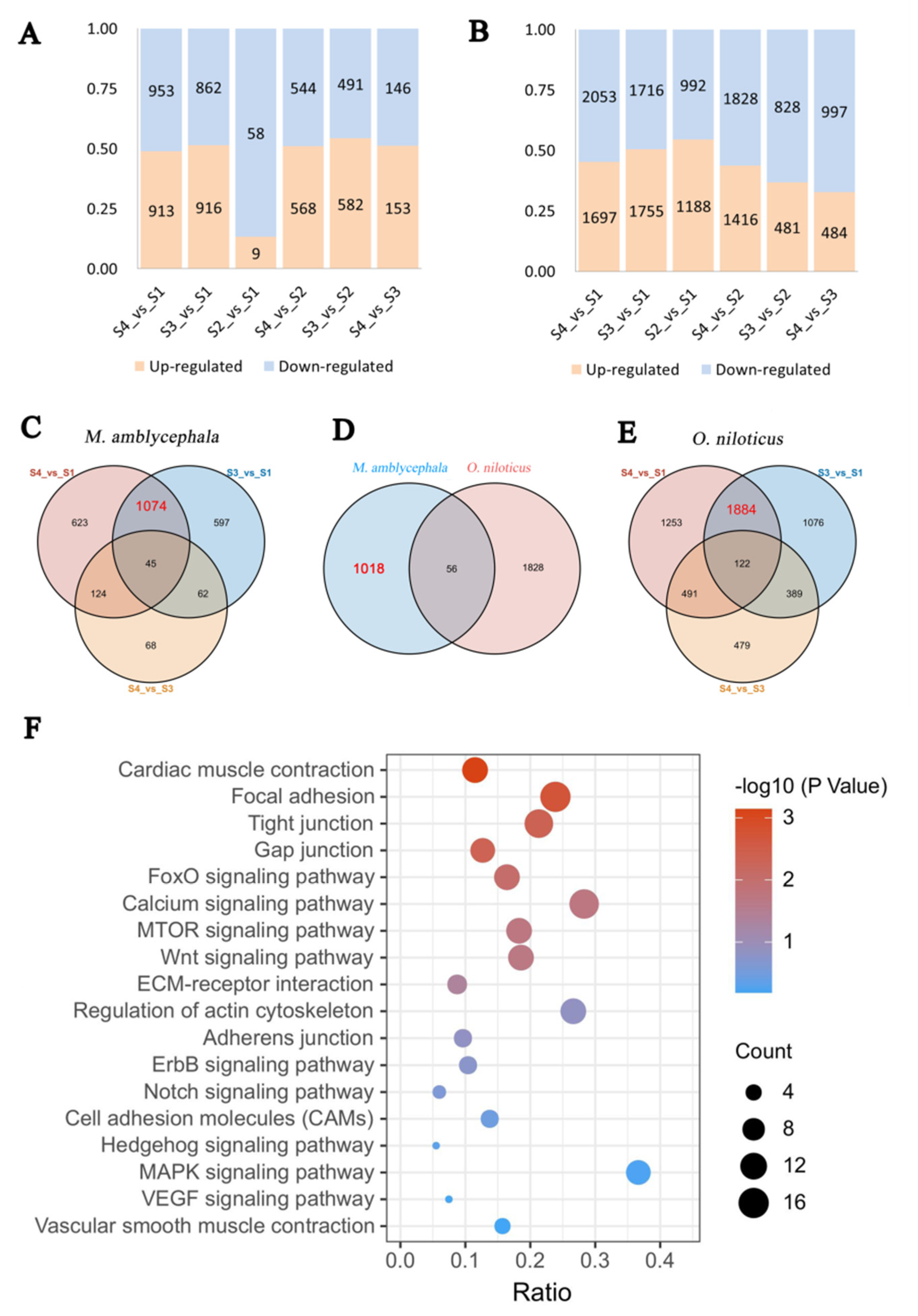 Biology 10 01311 g004