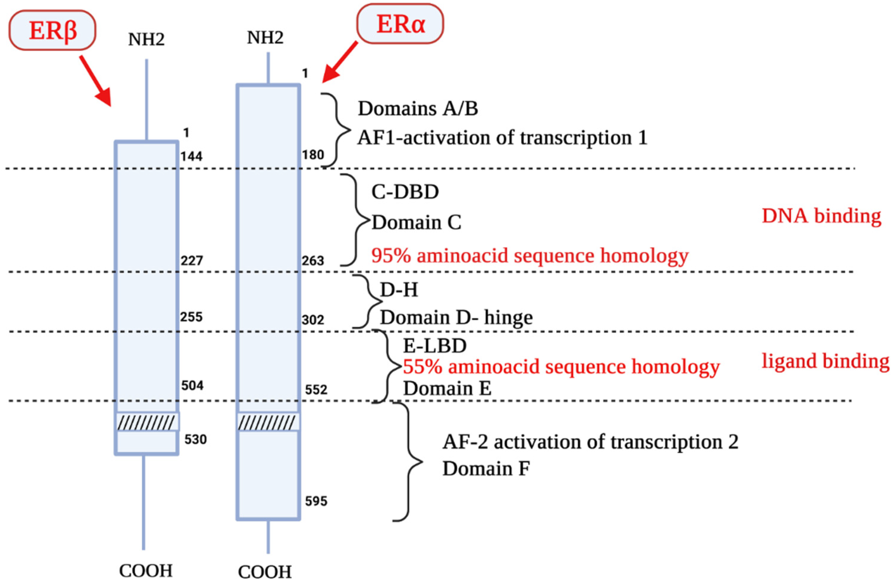 Biology 10 01314 g001 Biology 10 01314 g001