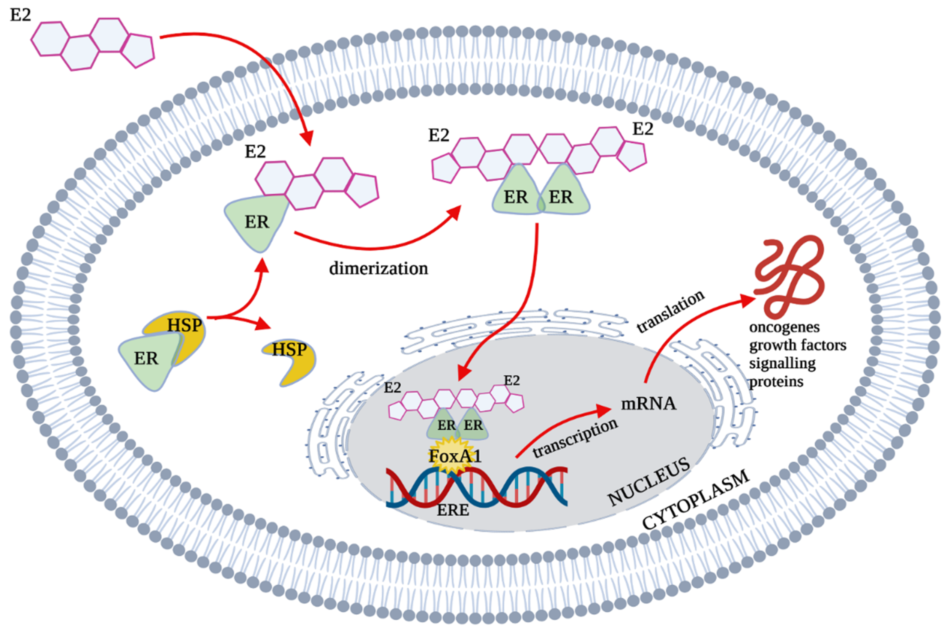 Biology 10 01314 g002 Biology 10 01314 g002