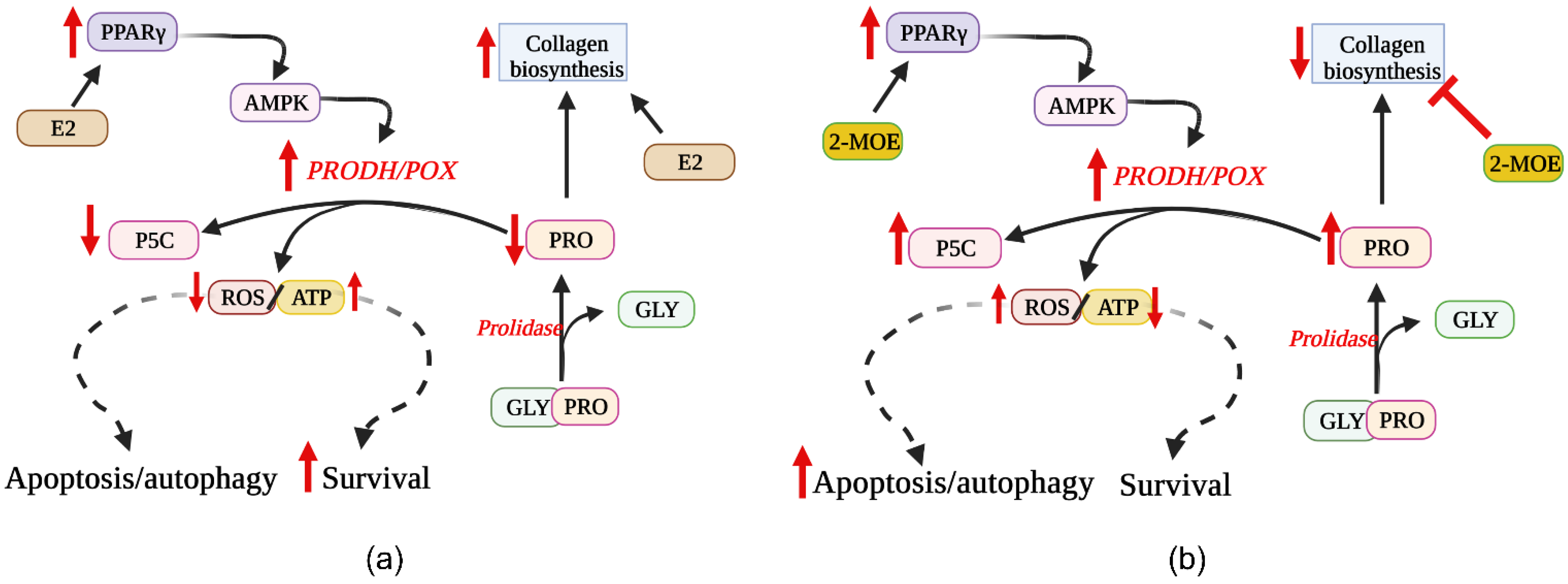 Biology 10 01314 g005 Biology 10 01314 g005