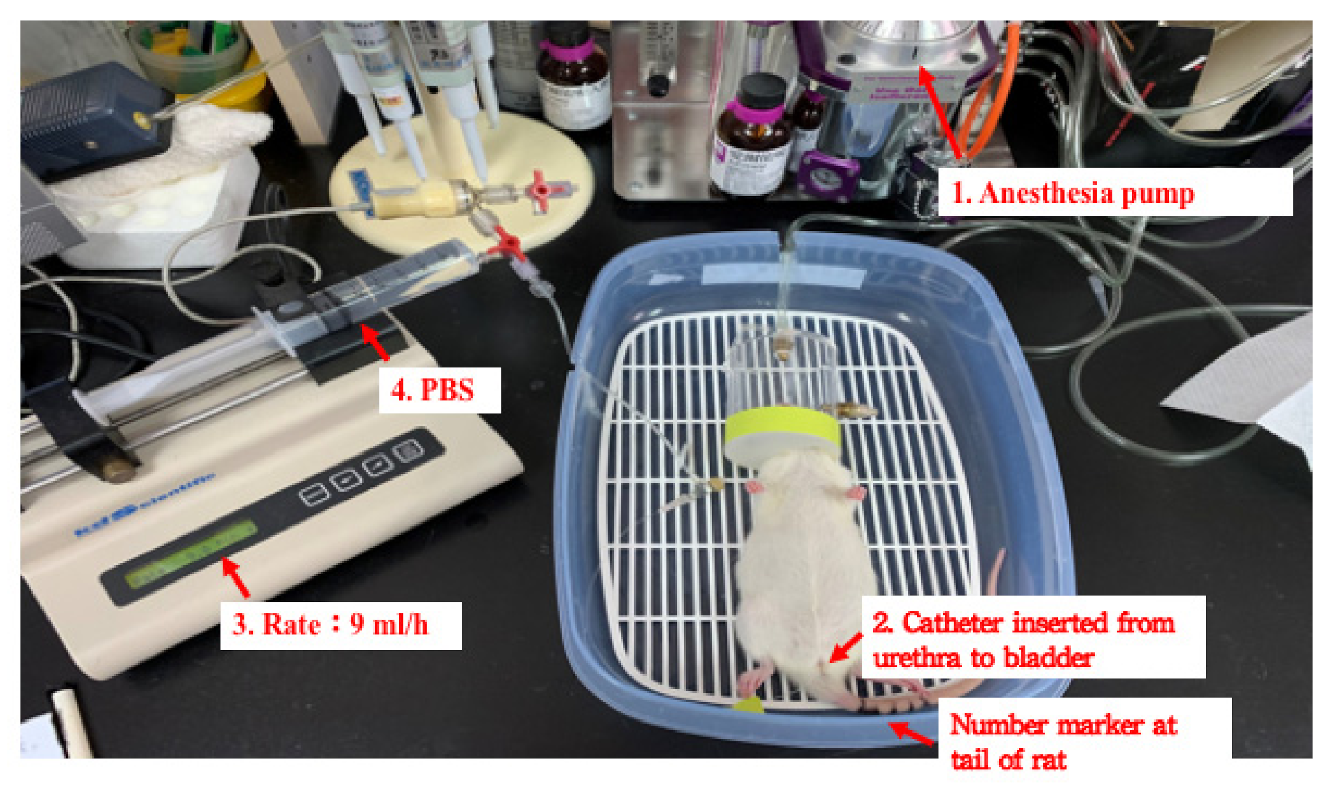 Biology 10 01316 g001