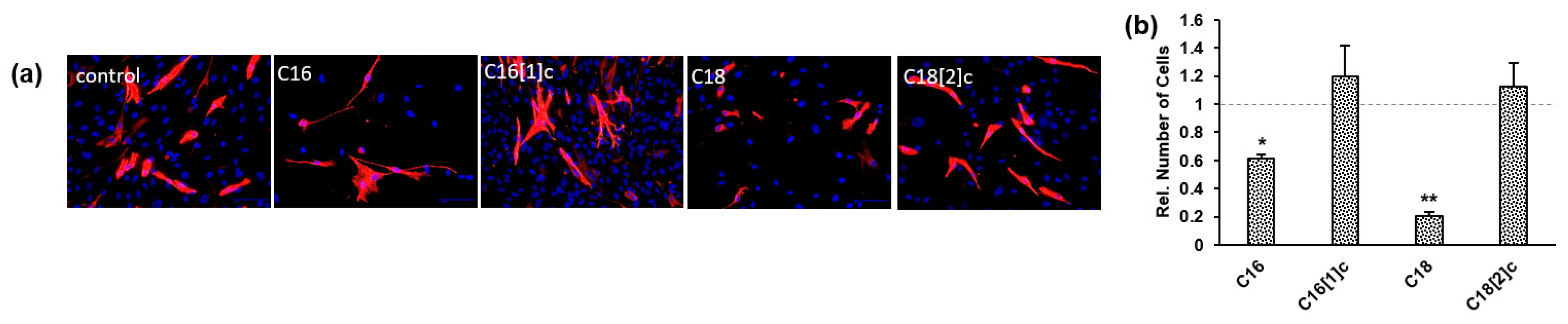 Biology 10 01318 g004 550