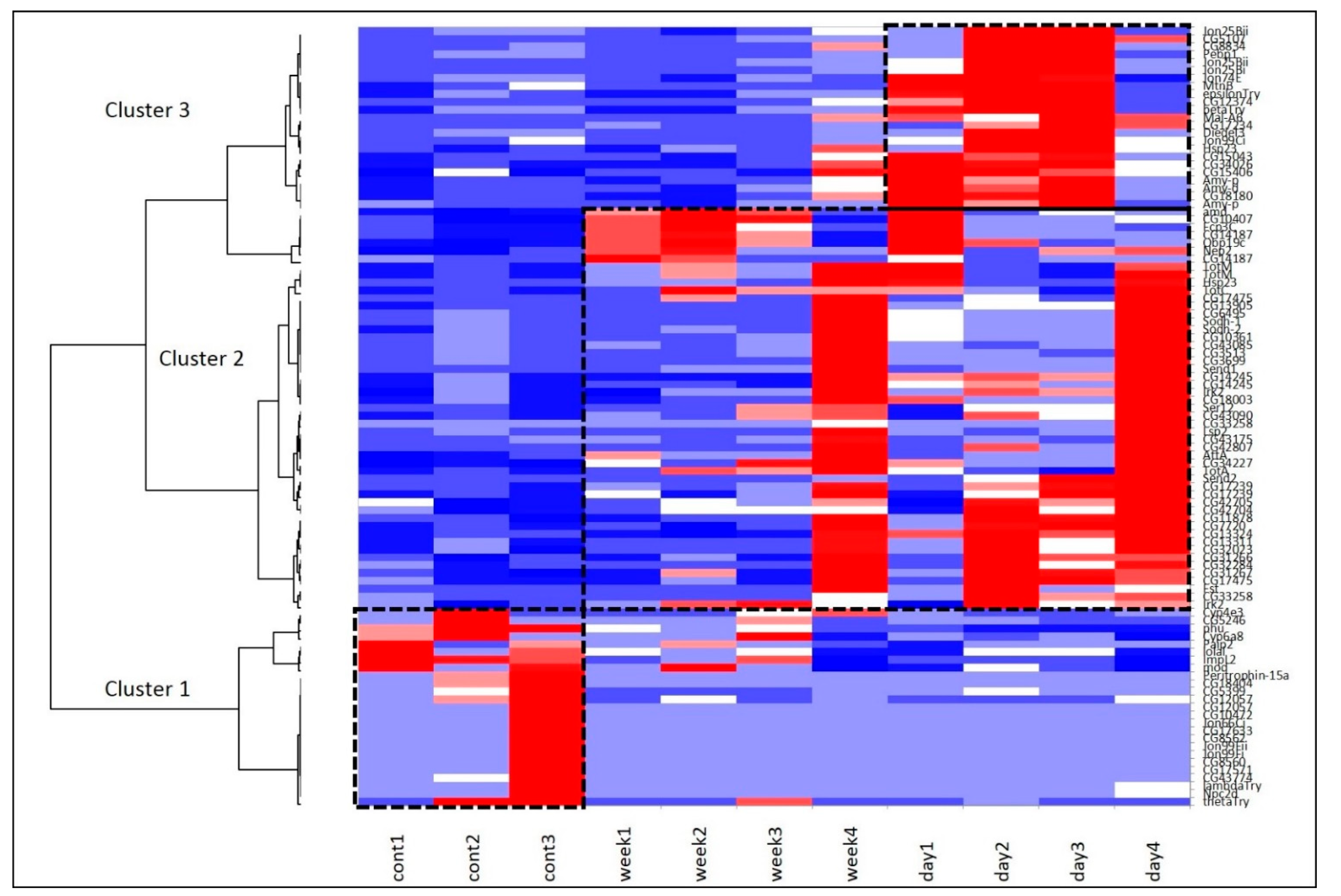 Biology 10 01323 g005 Biology 10 01323 g005