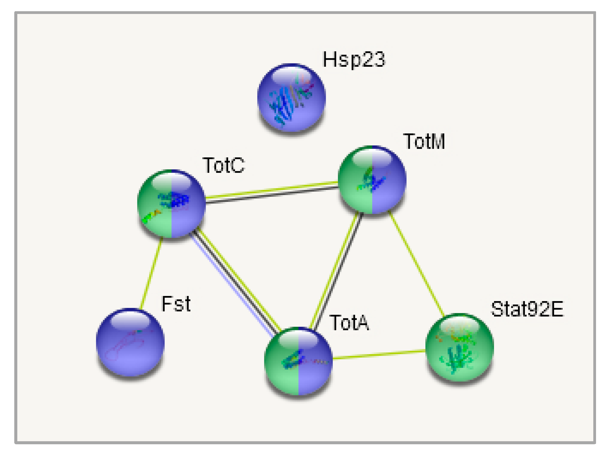 Biology 10 01323 g010 Biology 10 01323 g010