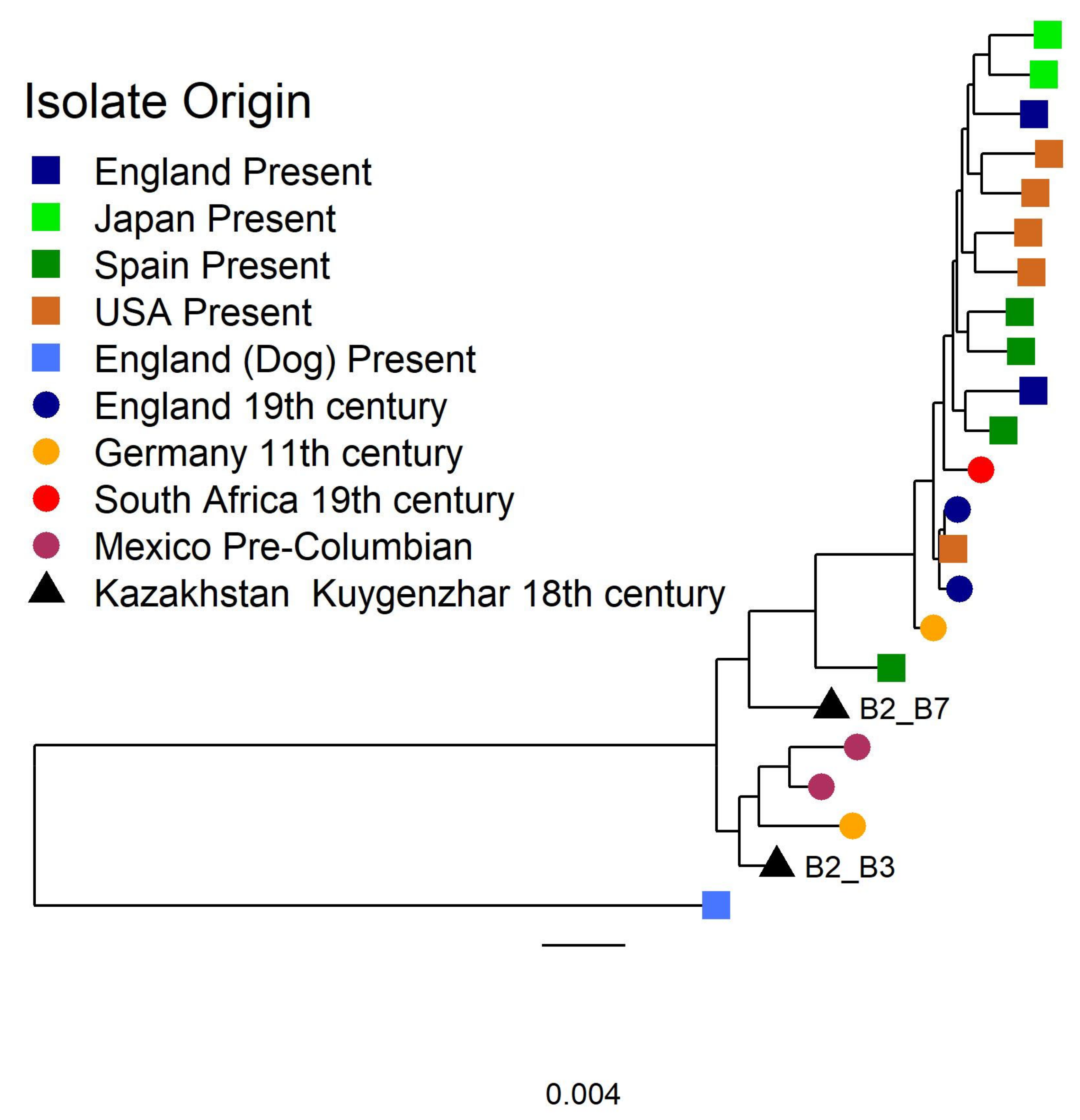 Biology 10 01324 g004