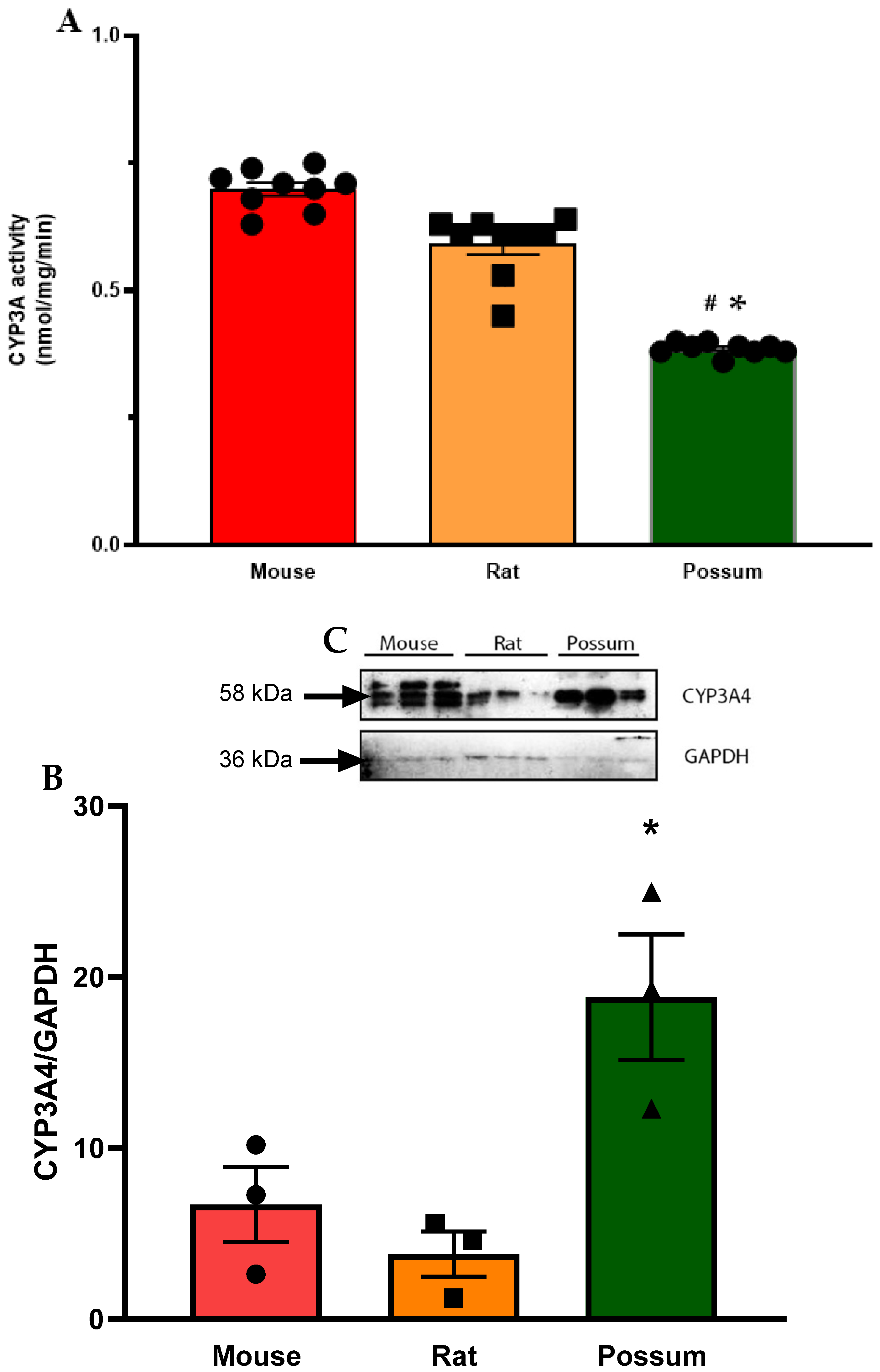 Biology 10 01326 g002 Biology 10 01326 g002