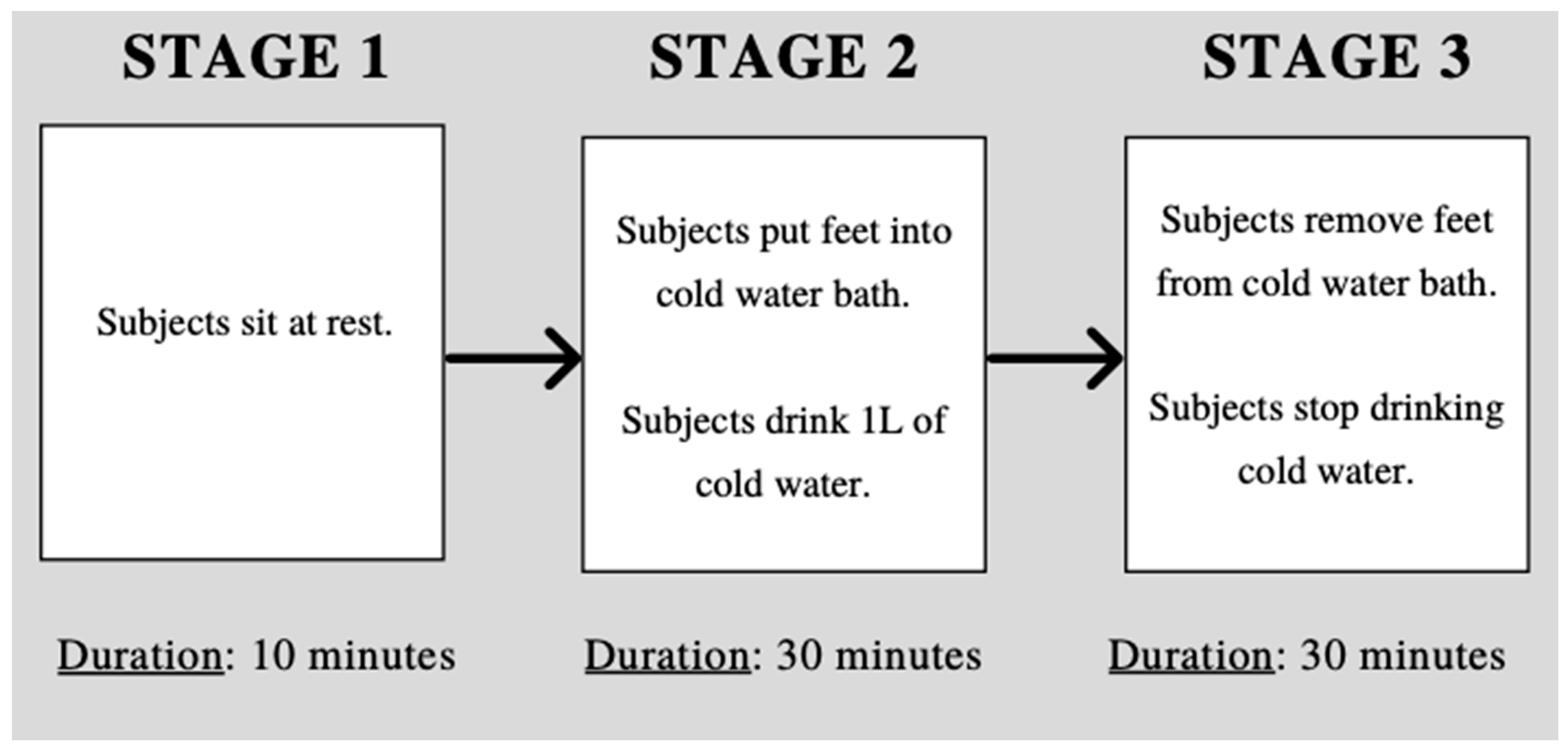 Biology 10 01327 g002 Biology 10 01327 g002