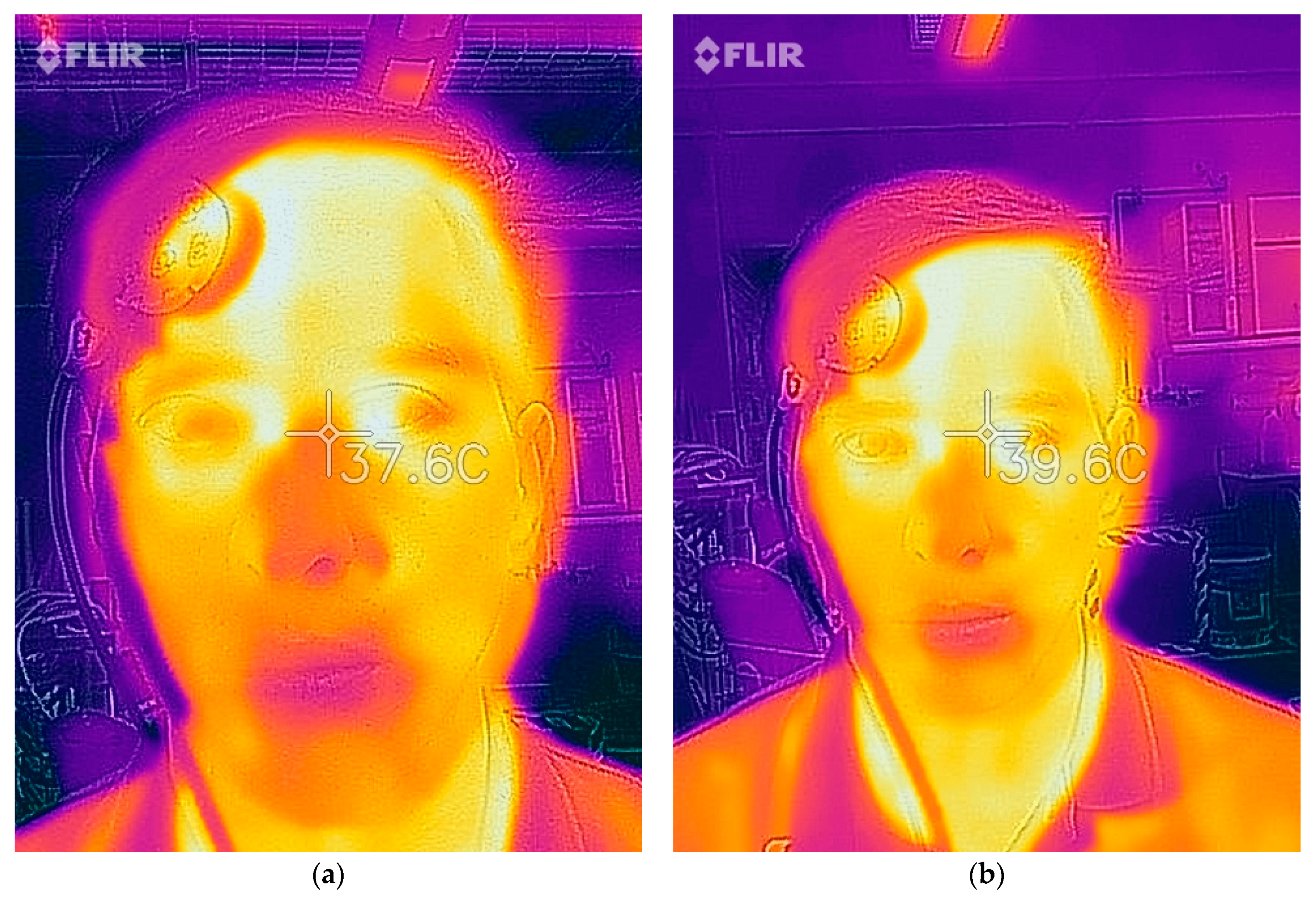Biology 10 01327 g006 Biology 10 01327 g006
