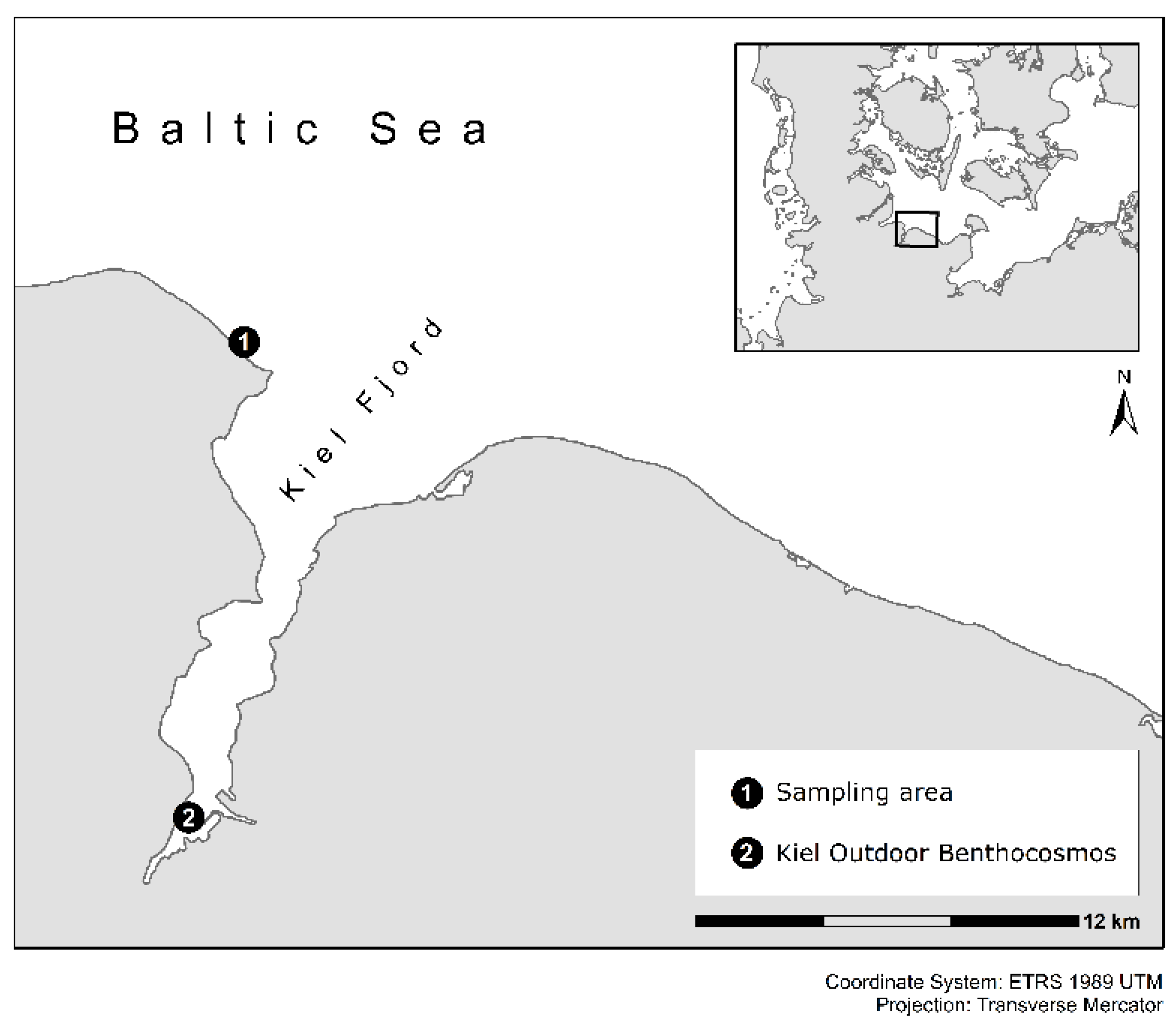 Biology 10 01330 g001